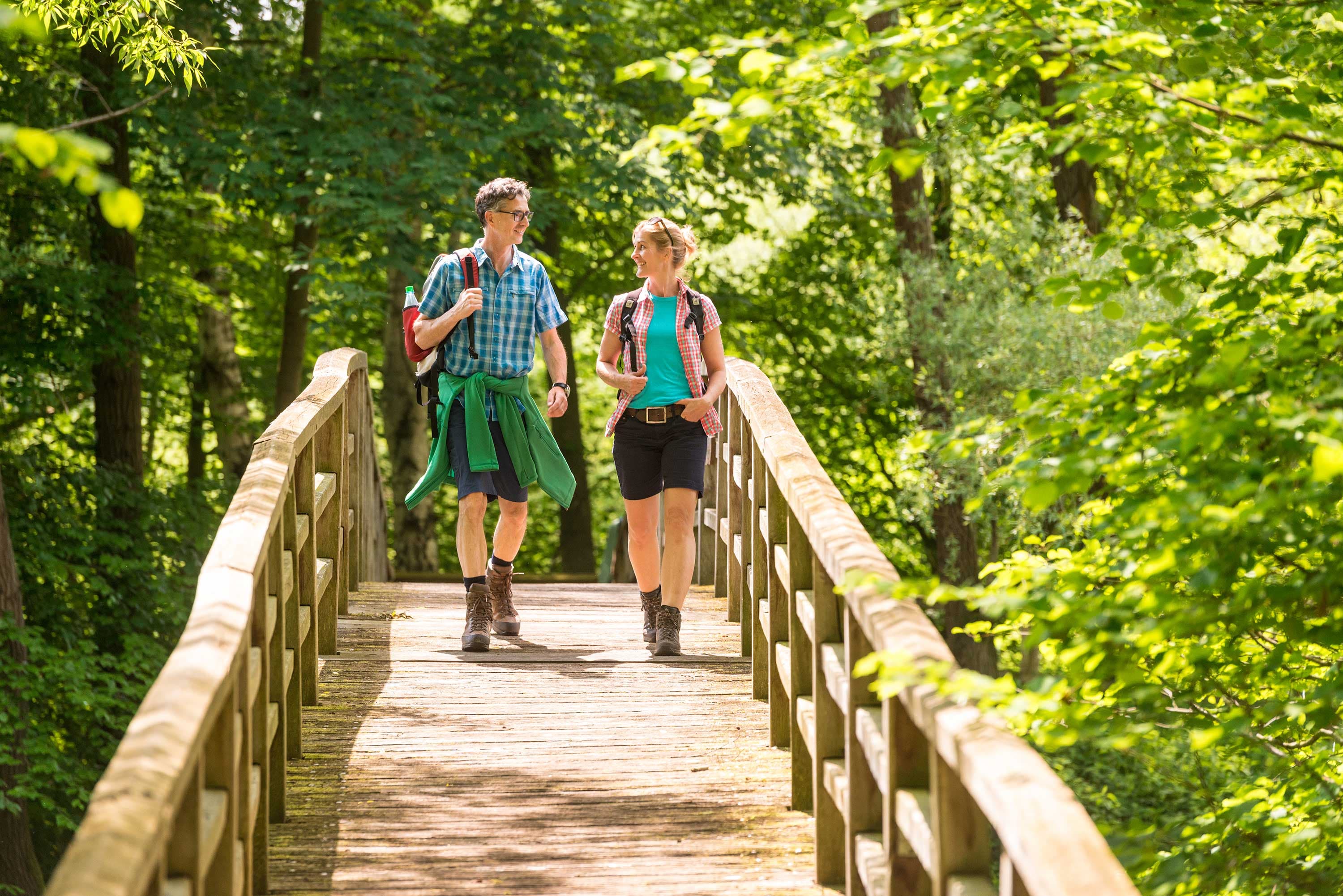 Tagestouren wandern in der Lüneburger Heide