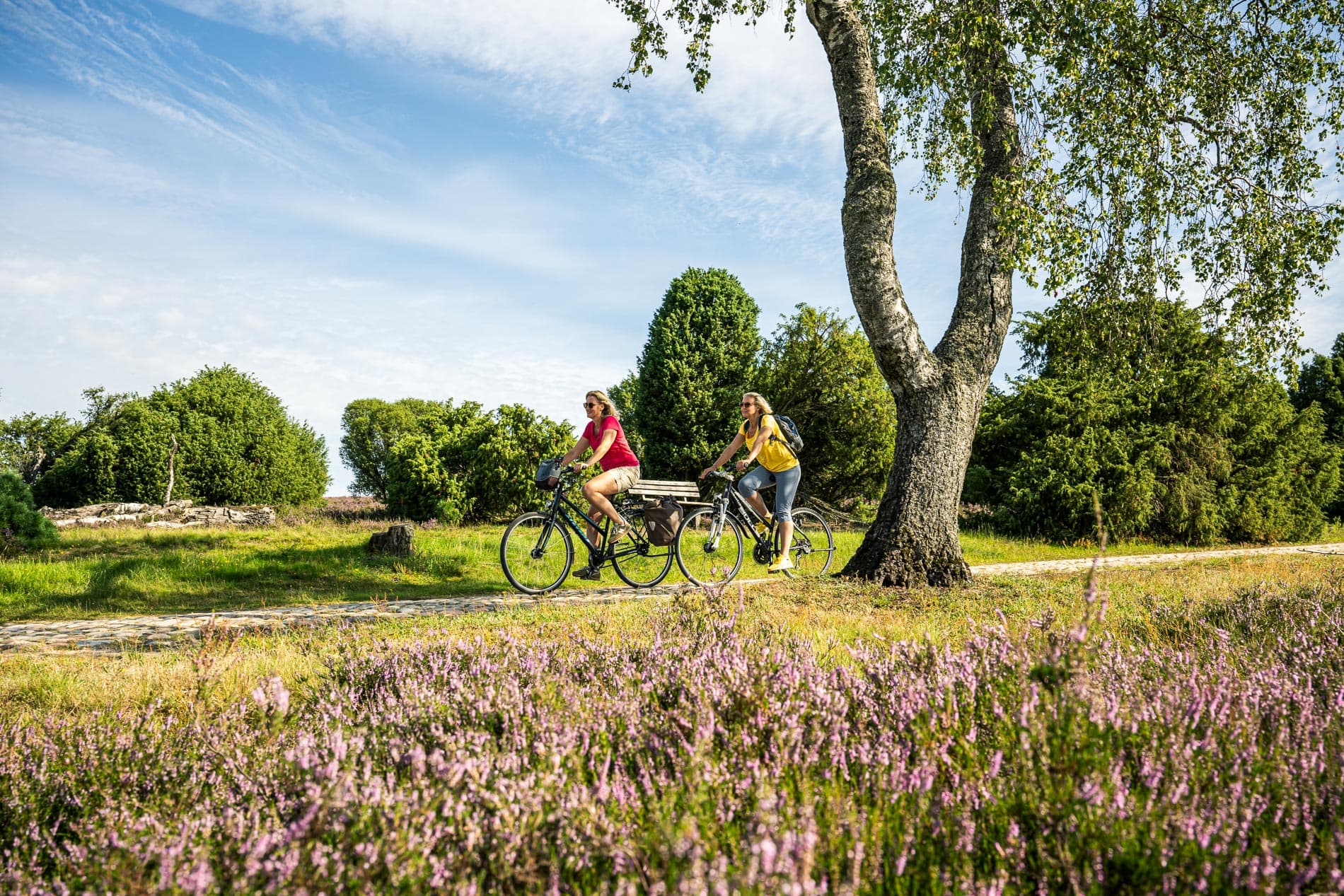 Radfahrer auf der Heidekreistour