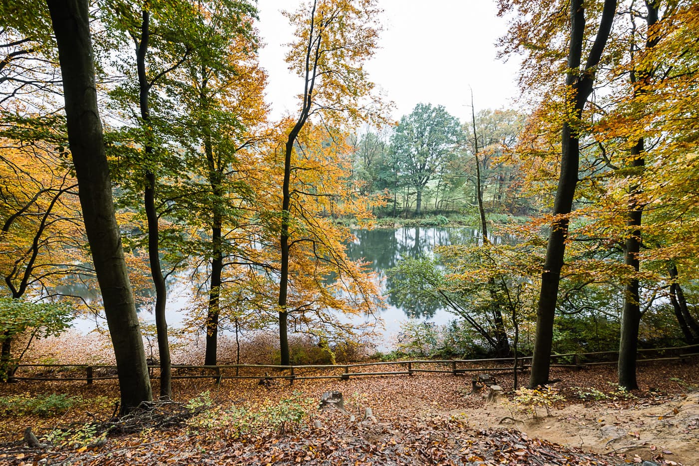 Eckernworth in Walsrode im Herbst