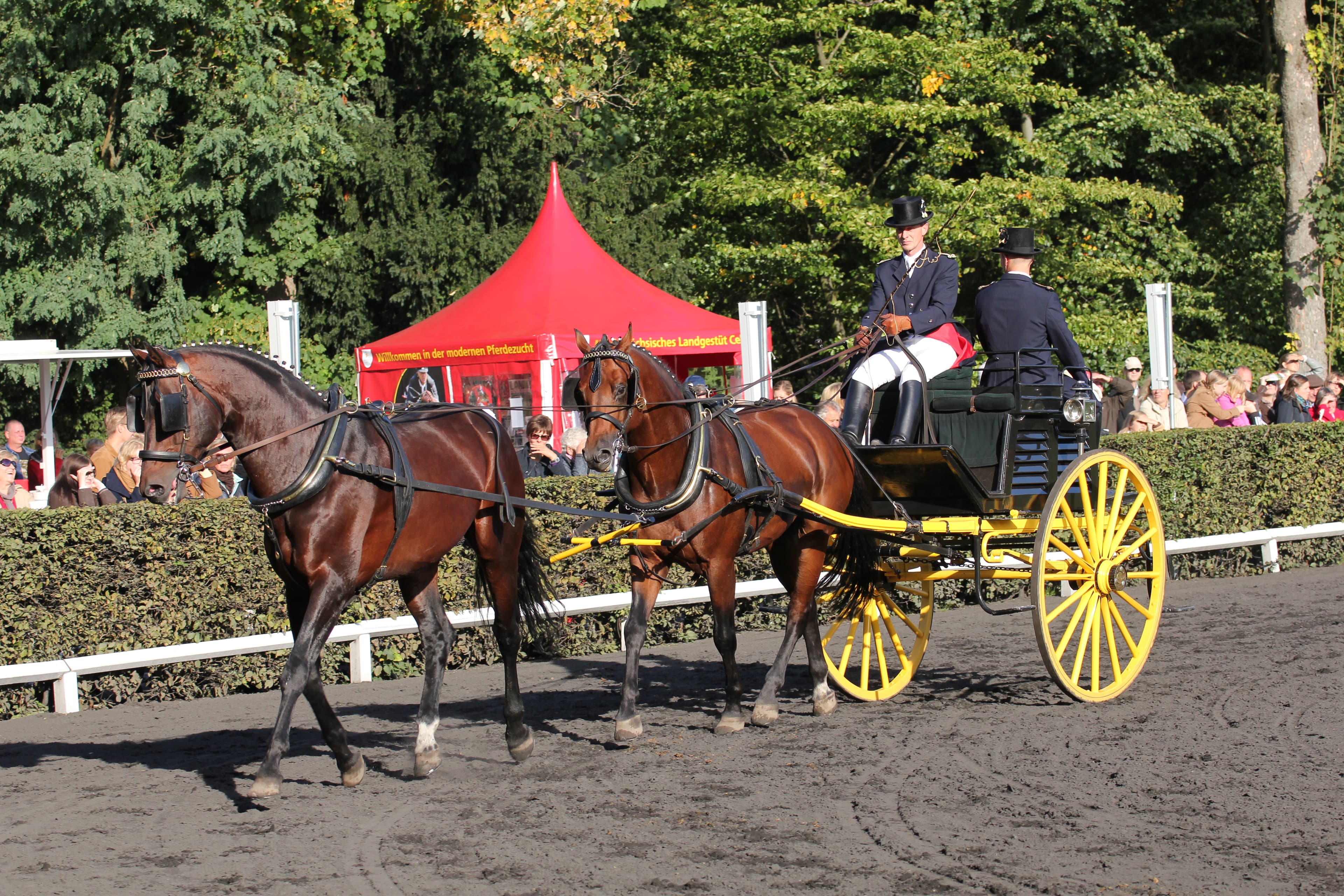 Kutsche im niedersächsischen Landgestüt CelleCarriage at the Celle State Stud Farm in Lower SaxonyVogn på statsstutteriet Celle i NiedersachsenRijtuig op de stoeterij van Celle in Nedersaksen