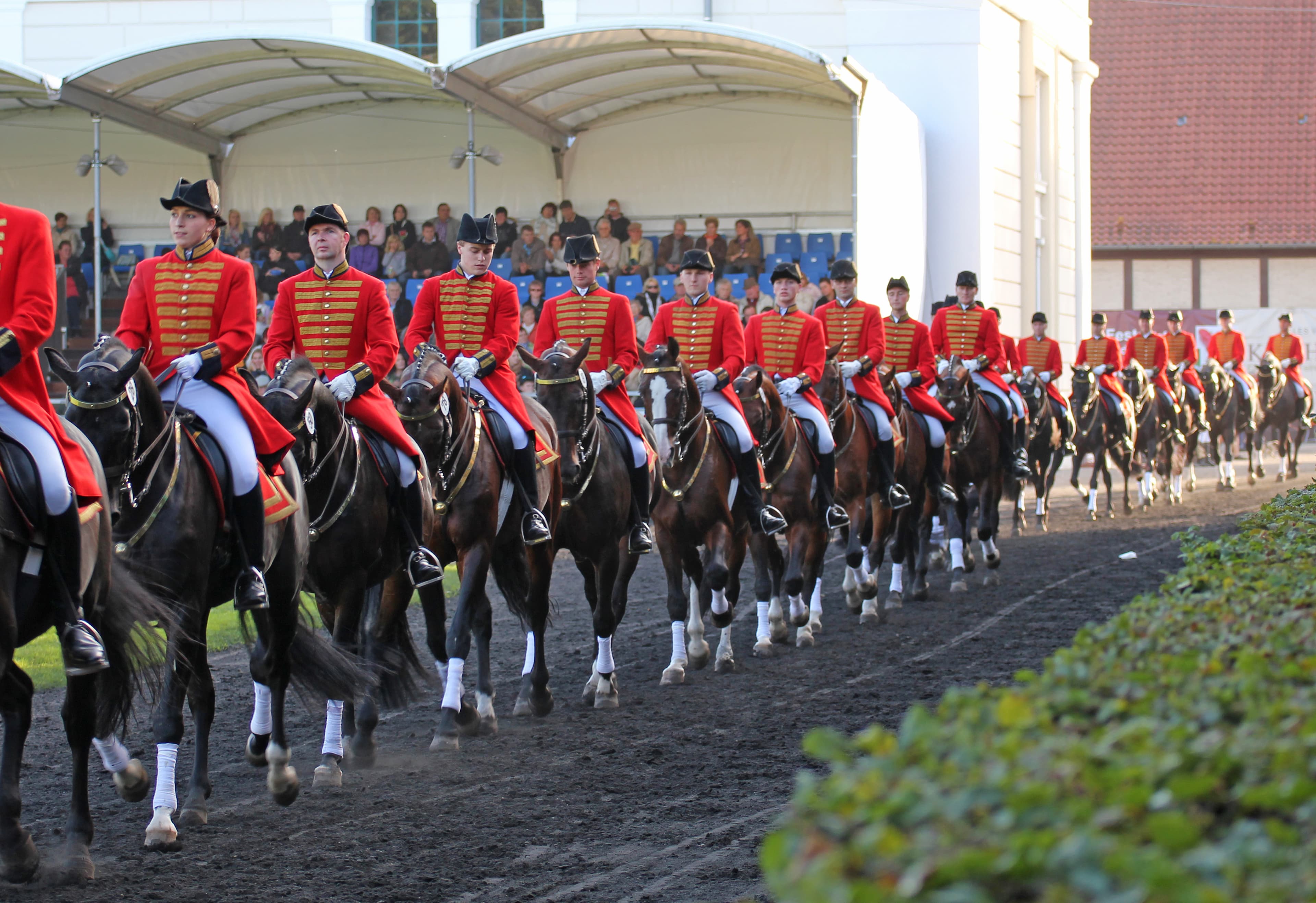 Hengstparade im Celler LandgestütStallion parade at the Celle State StudHingsteparade på statsstutteriet i CelleHengstenparade bij de Celle State Stud