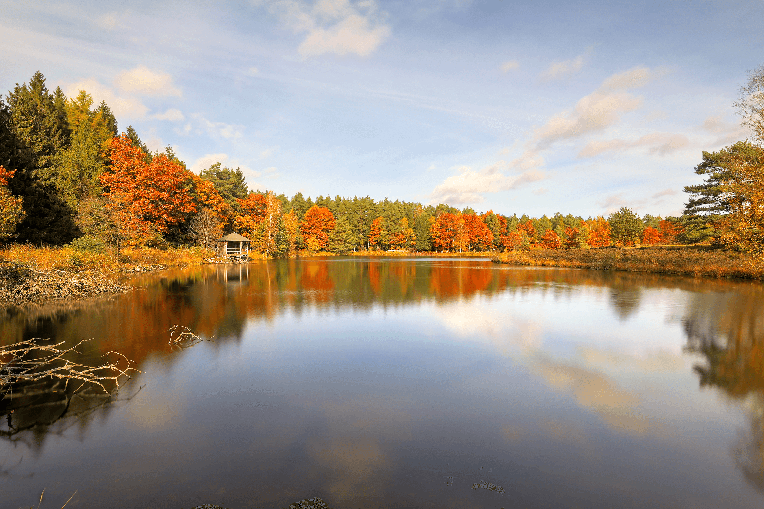 tolle herbst stimmung an angelbecksteich im naturpark südheide der lüneburger heide