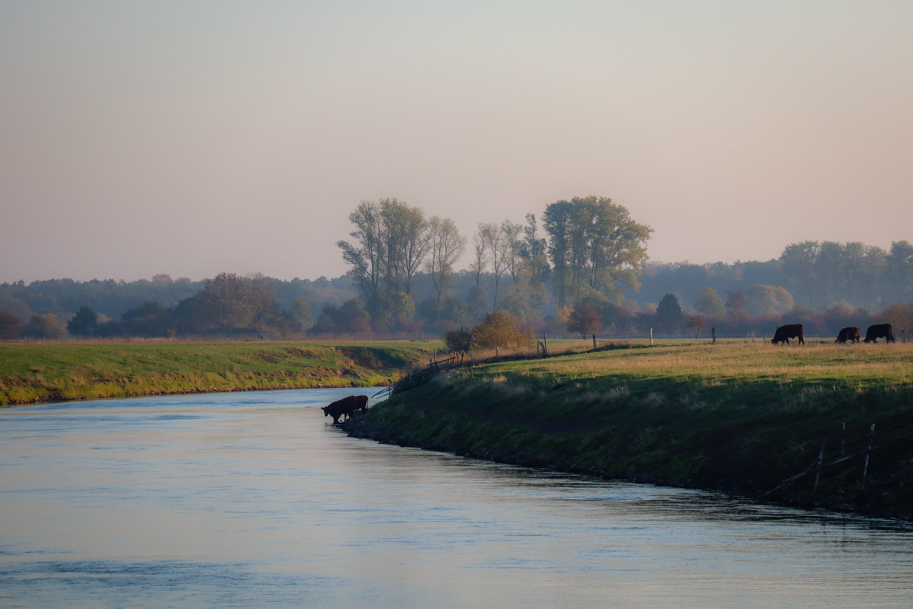 Die Leine fliesst an der Bothmer Mühle in Gilten vorbei