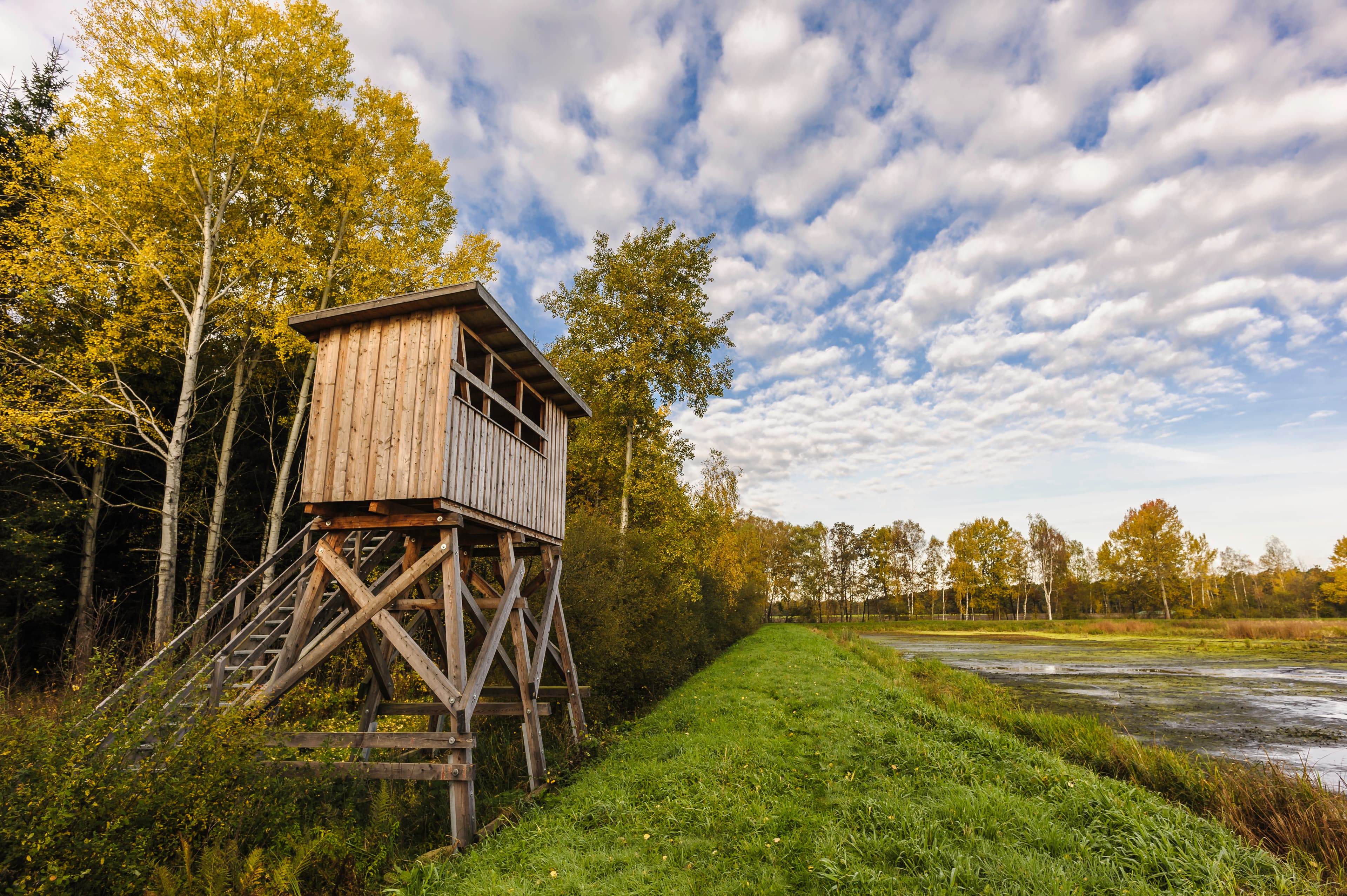 Aschauteiche in Eschede im Herbst als Fotolocation in der Lüneburger Heide