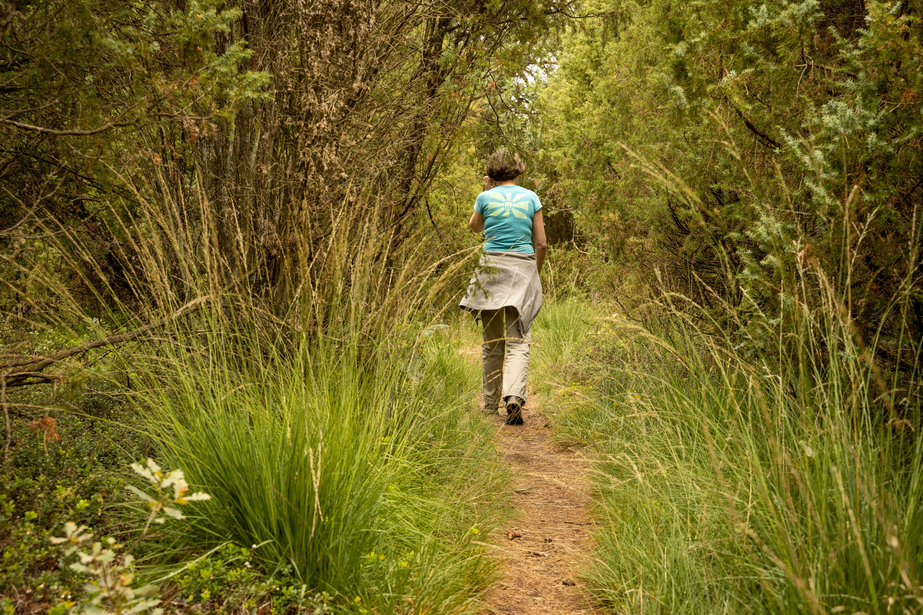 Wandern auf dem Heidschnuckenweg im Wacholderwald Schmarbeck