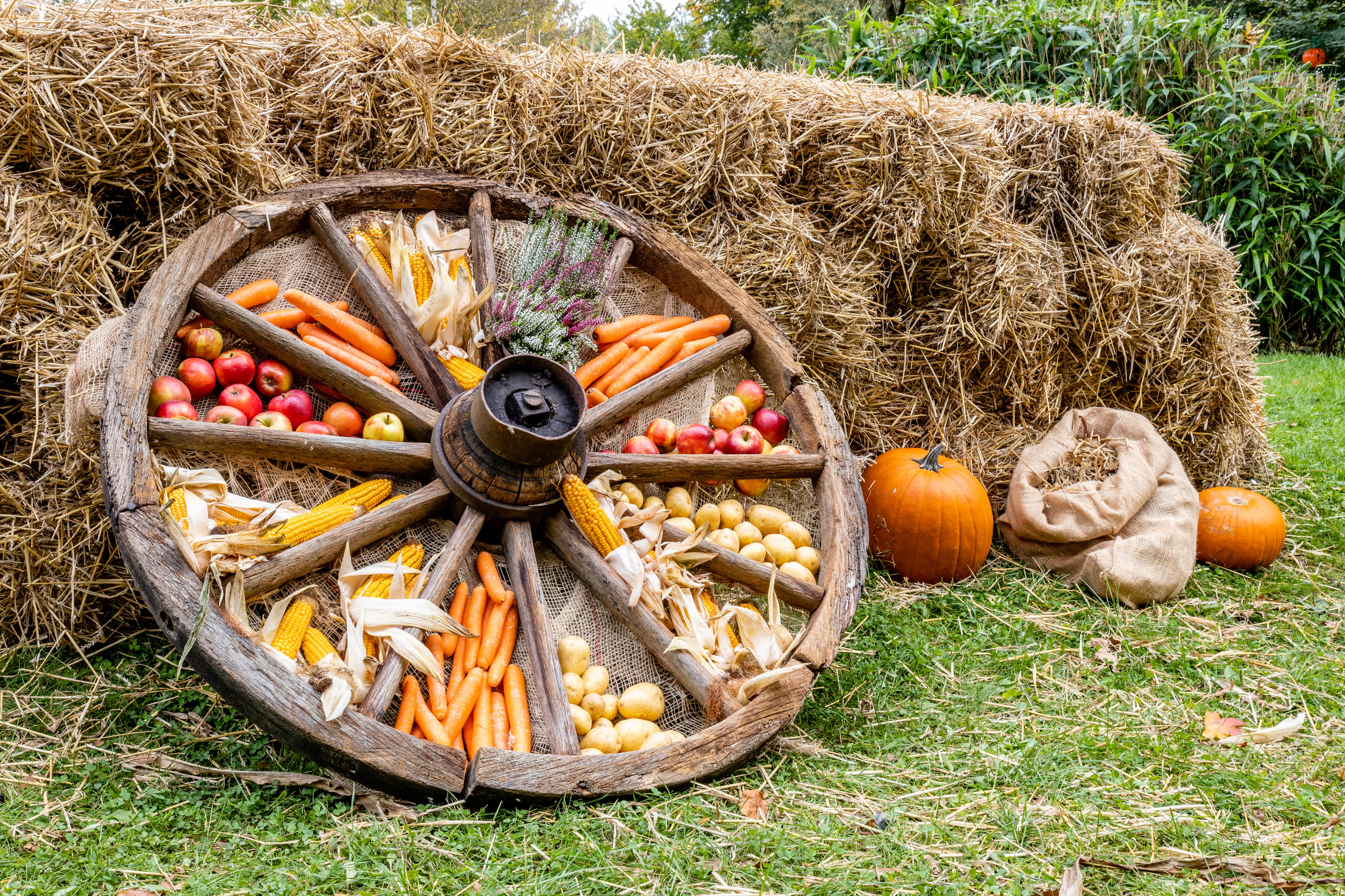 Herbstfest im Serengeti Park Hodenhagen in der Lüneburger Heide