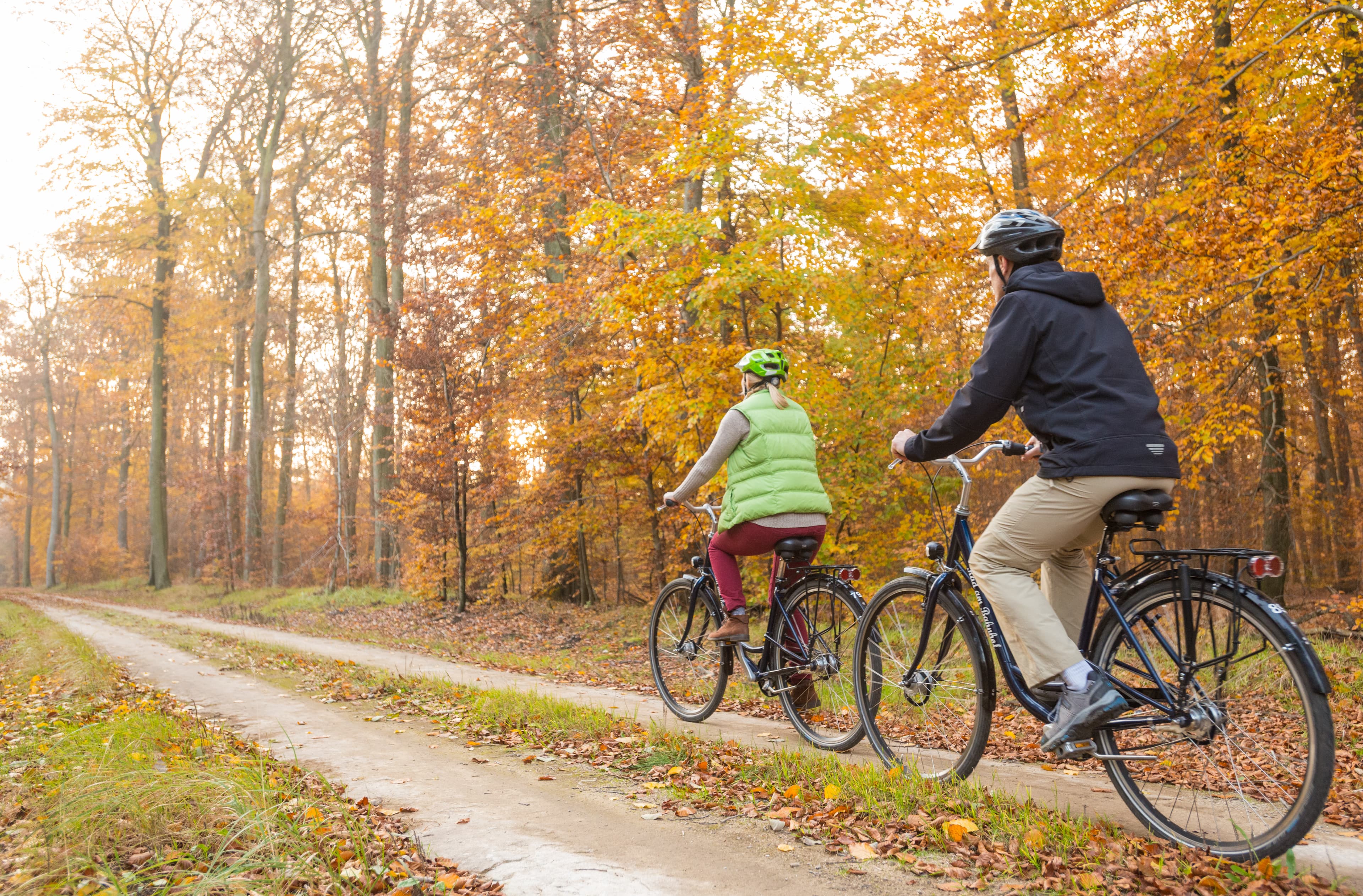 Radtour durch den Lüsswald im Herbst in Unterlüß in der Lüneburger Heide