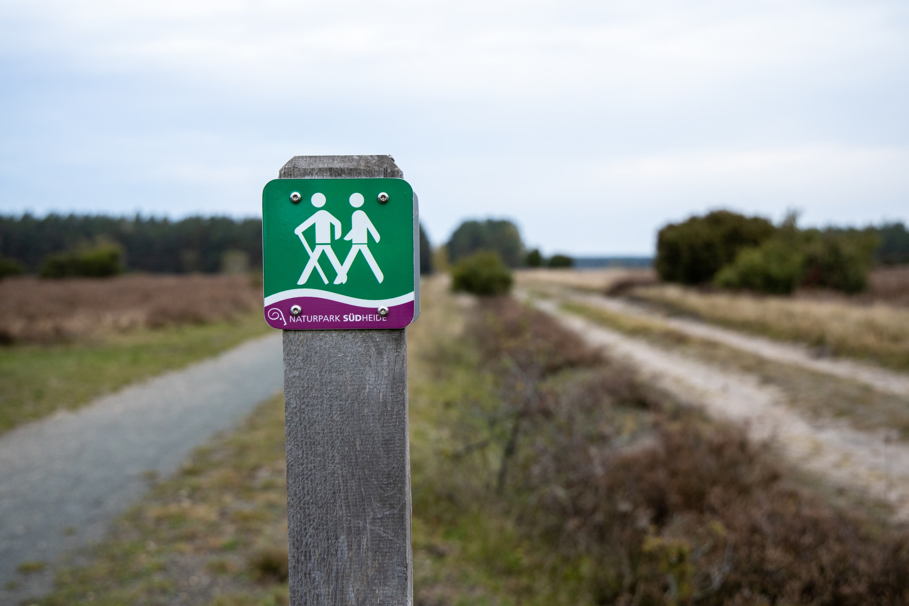 Beschilderung im Wacholderwald Schmarbeck in der Lüneburger Heide