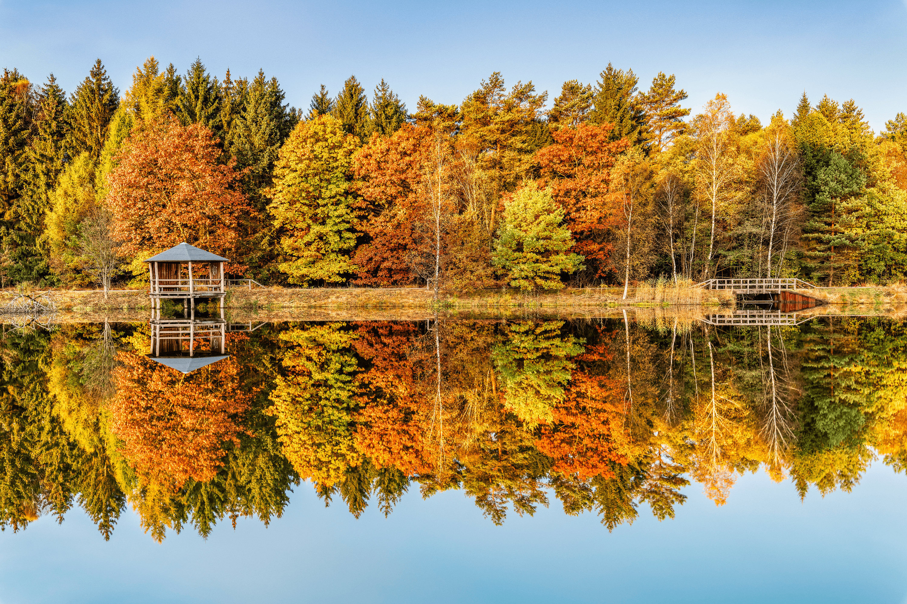 Herbststimmung in der Lüneburger HEide