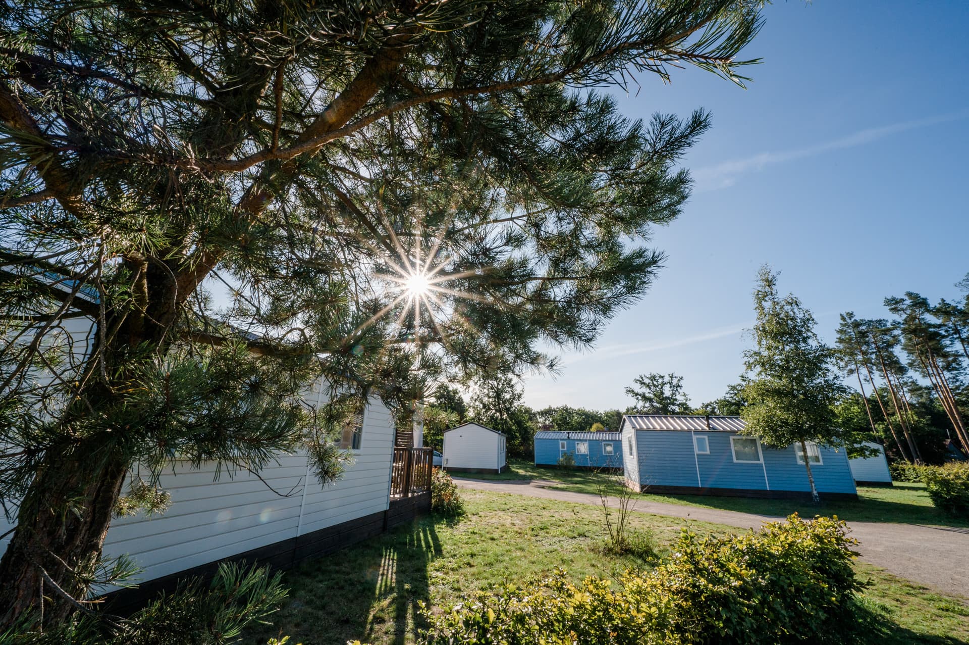 die chalets auf dem campingpark südheidethe chalets at campingpark südheidehytterne på campingpark südheidede chalets op campingpark südheide