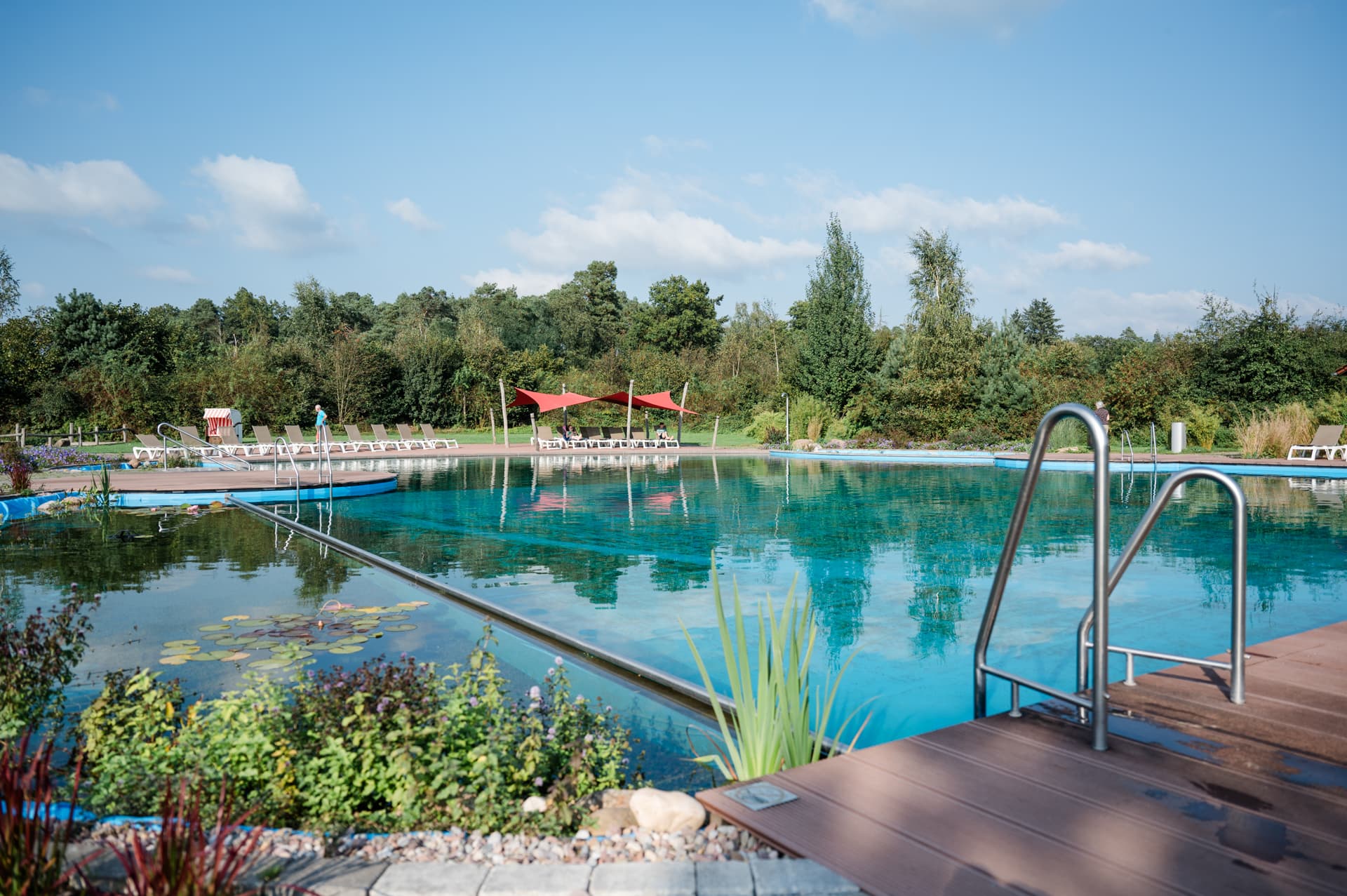 schwimmen im natur badeteich auf dem campingpark südheideswimming in the natural bathing pond at campingpark südheidesvømning i den naturlige svømmedam på südheide campingparkzwemmen in de natuurlijke zwemvijver op campingpark südheide