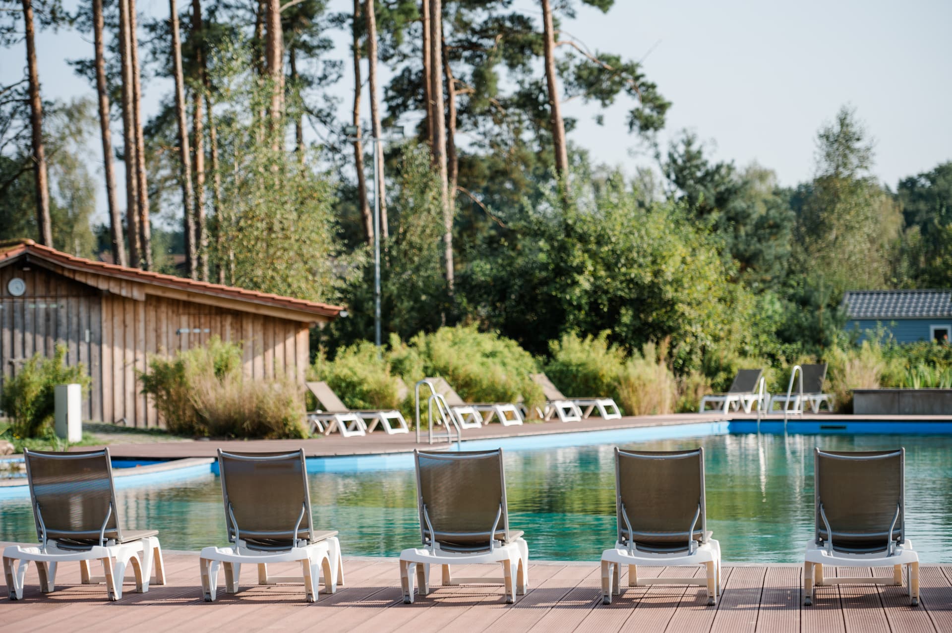 Naturschwimmteich Campingpark SüdheideNatural swimming pond at Campingpark SüdheideNaturlig svømmedam på Campingpark SüdheideNatuurlijke zwemvijver op Campingpark Südheide
