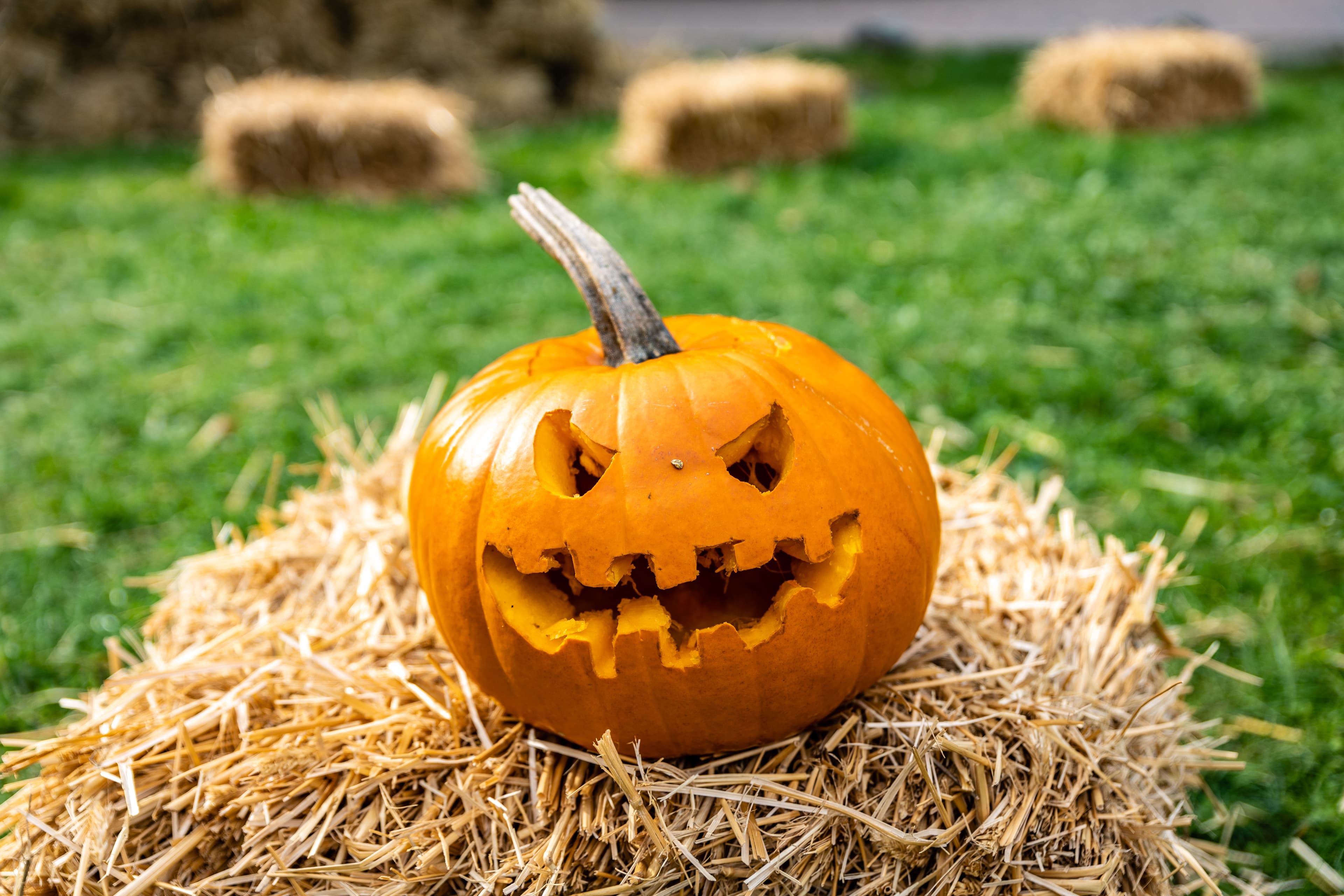 Halloween Kürbis mit Gesicht