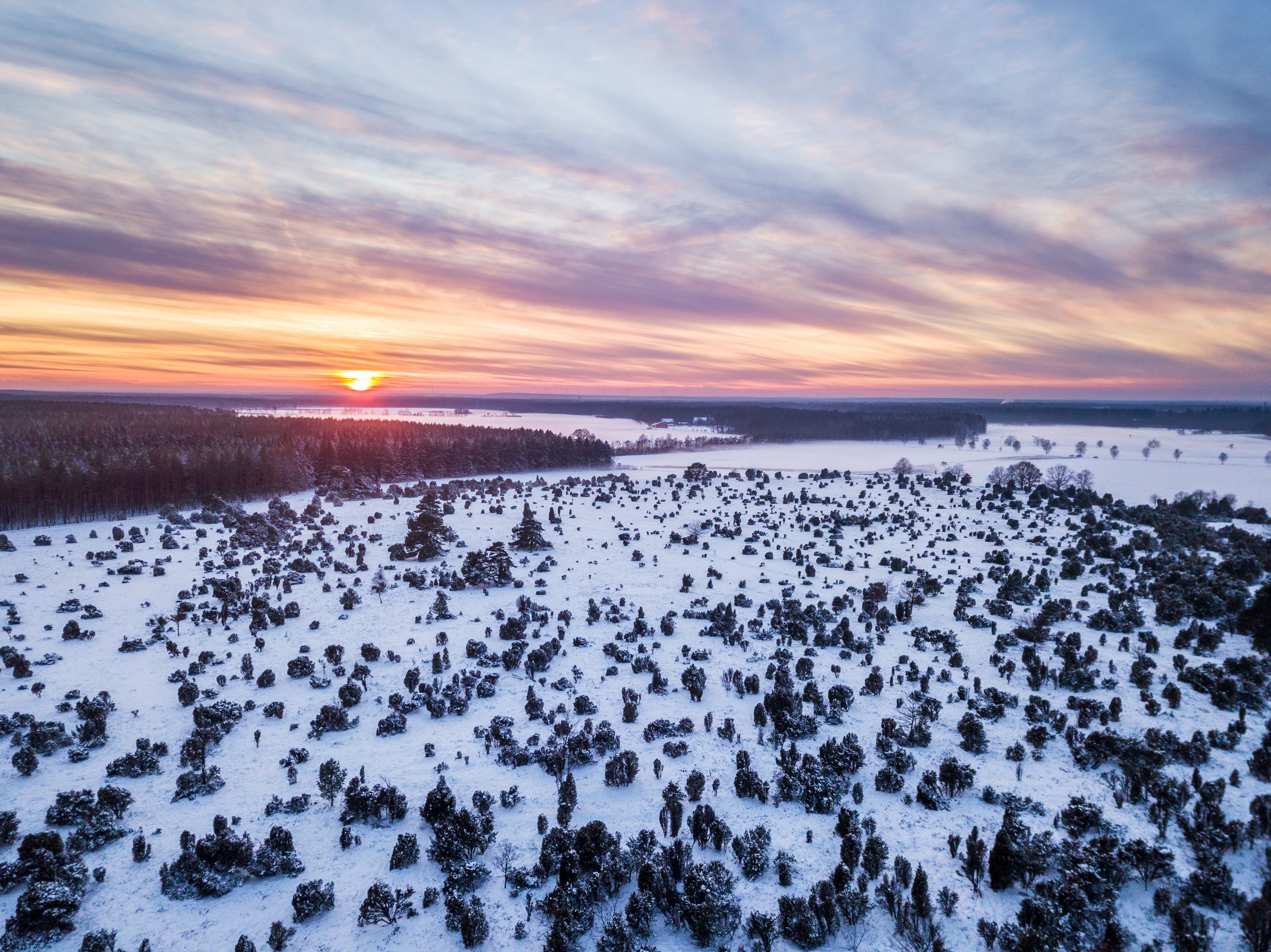 Wacholderwald Schmarbeck im Winter bei Sonnenuntergang