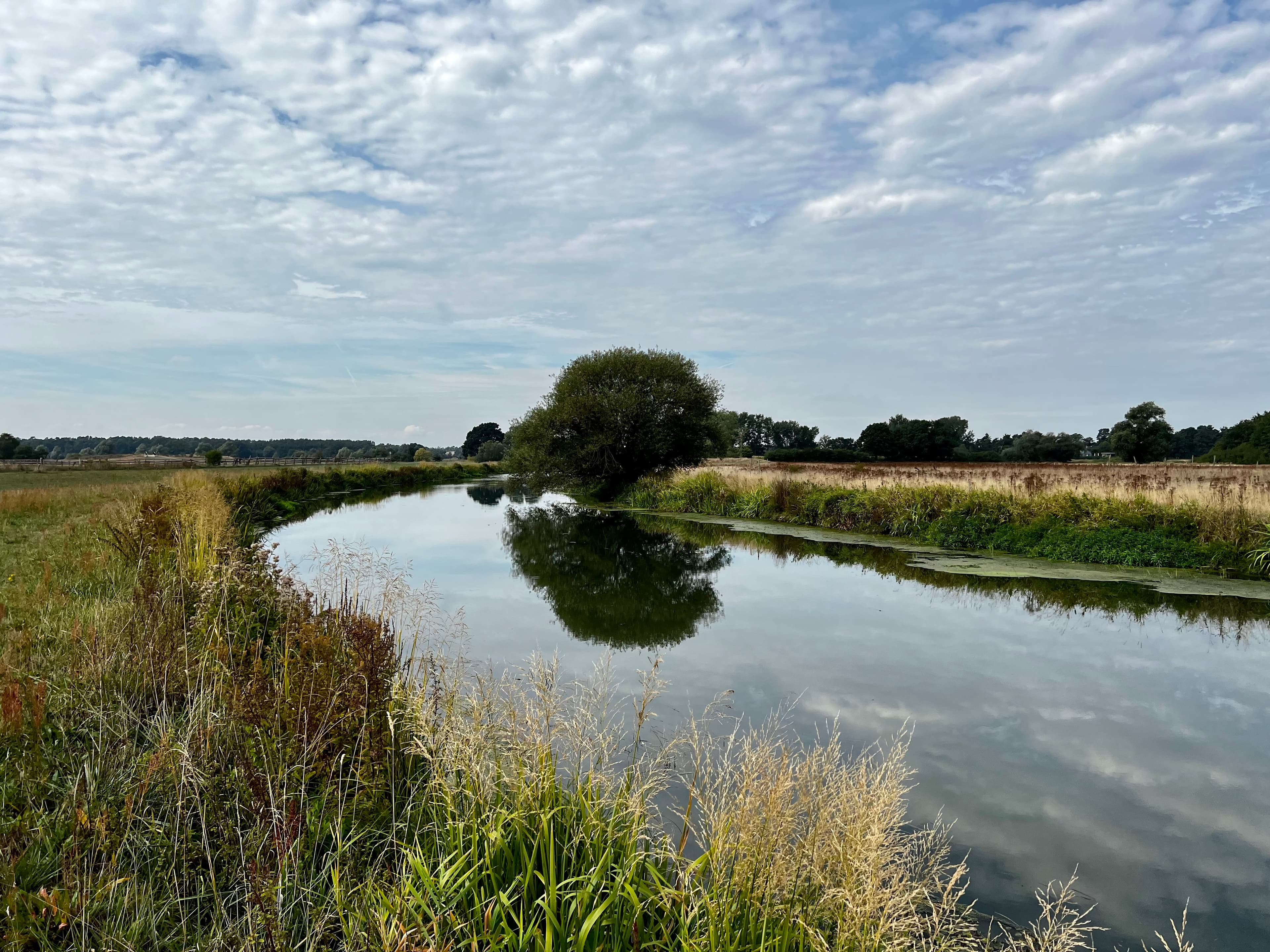 Der Fluss AllerThe river AllerFloden AllerDe Aller