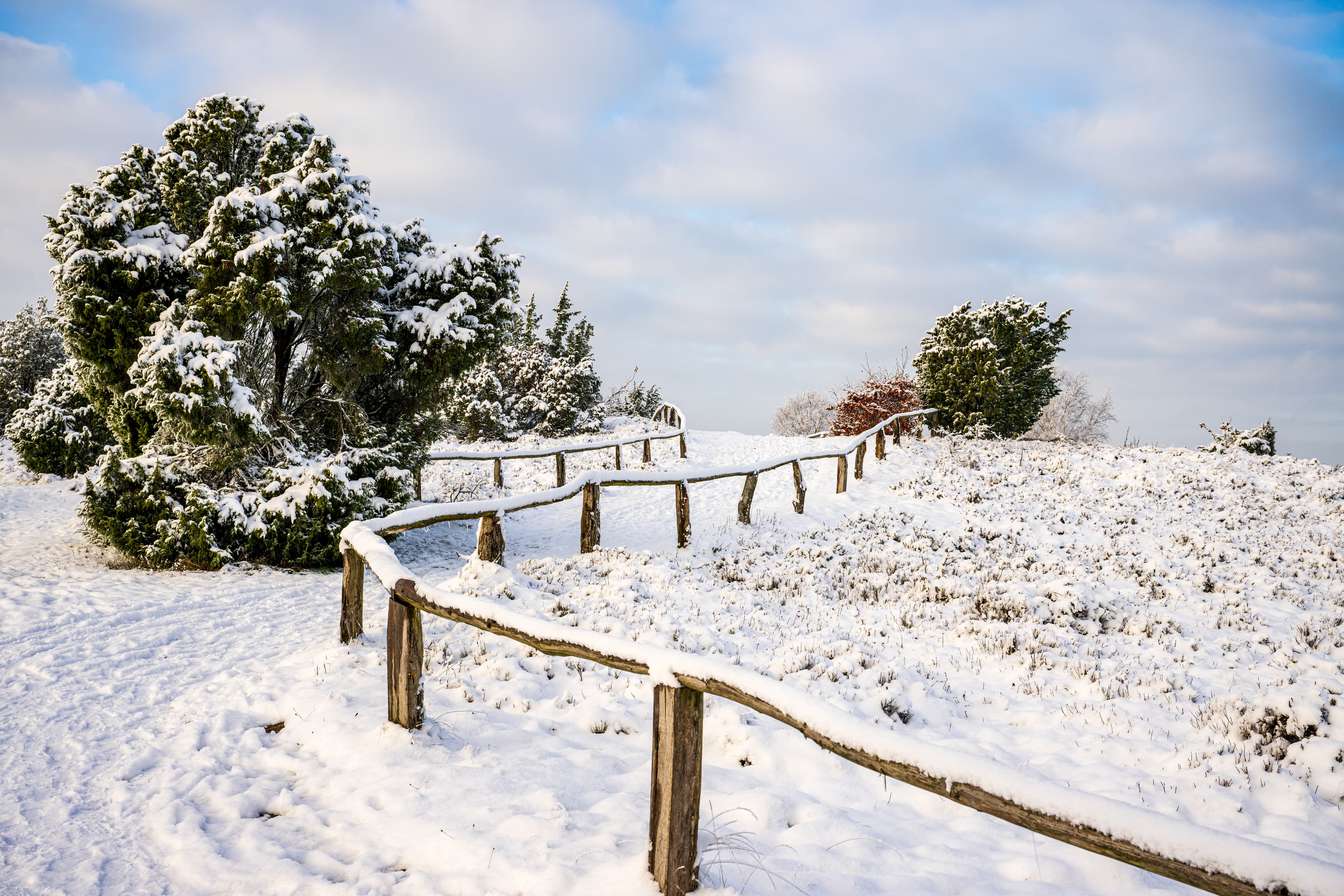 Traumhafter Wintertag auf dem Wilseder Berg im autofreien Naturschutzgebiet der Lüneburger Heide Bispingen