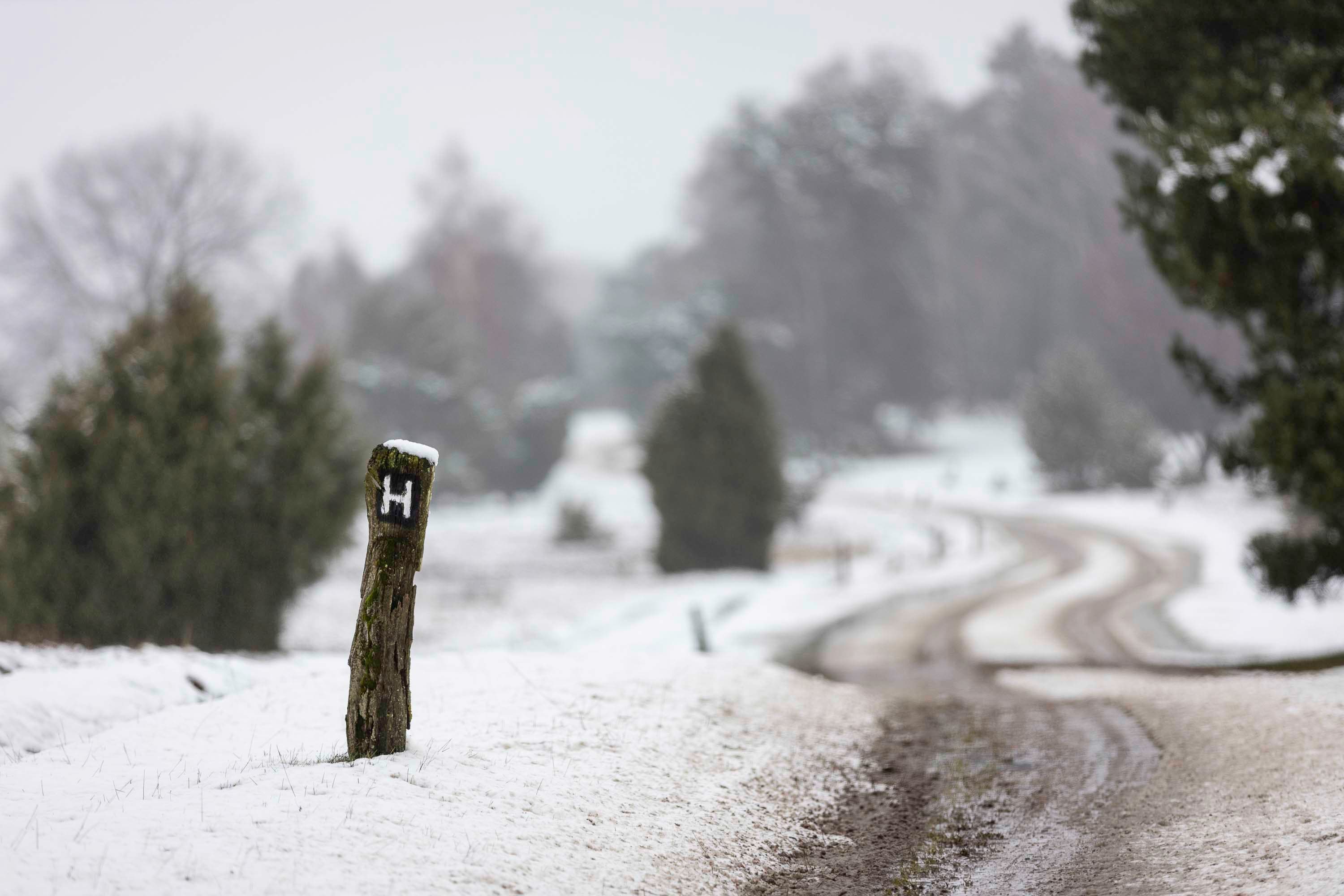 Wandern im Schnee auf dem Heidschnuckenweg in der Lüneburger Heide Bispingen