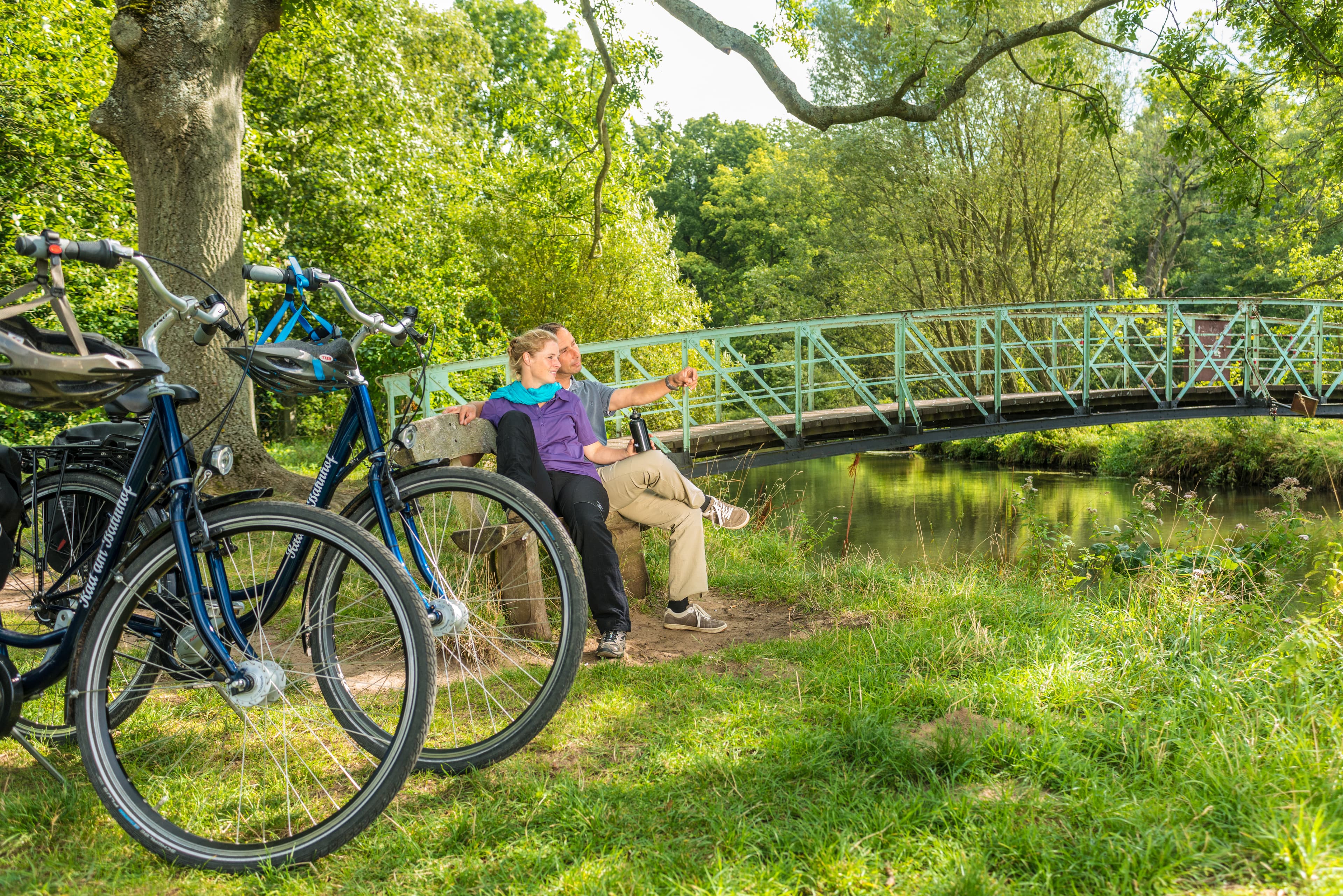 Fahrradweg durch Wald und entlang von WasserCycle path through forest and along waterCykelsti gennem skov og langs vandFietspad door bos en langs water