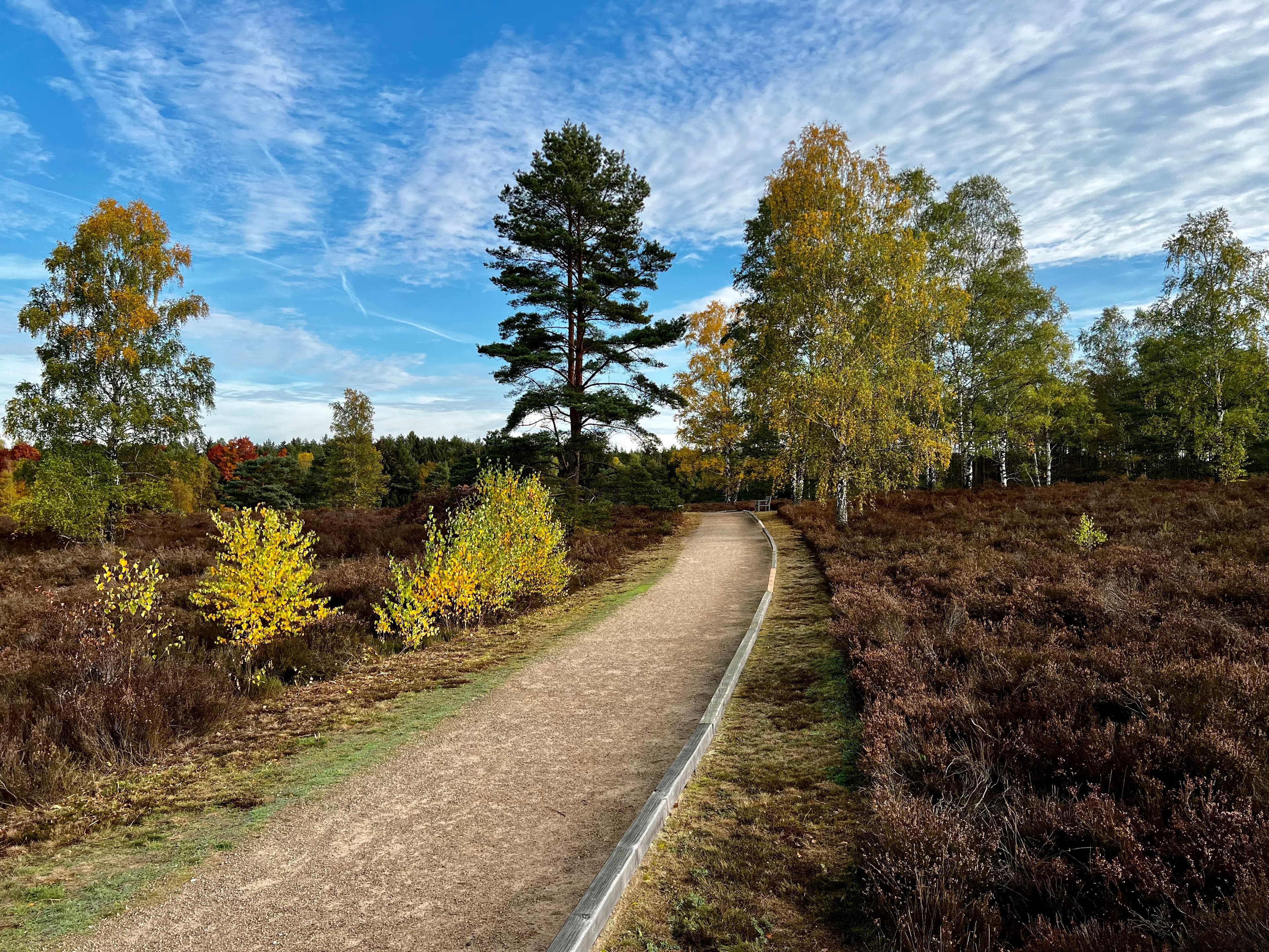 Wanderweg im Herbst Hiking trail in fallVandresti i efteråretWandelpad in de herfst