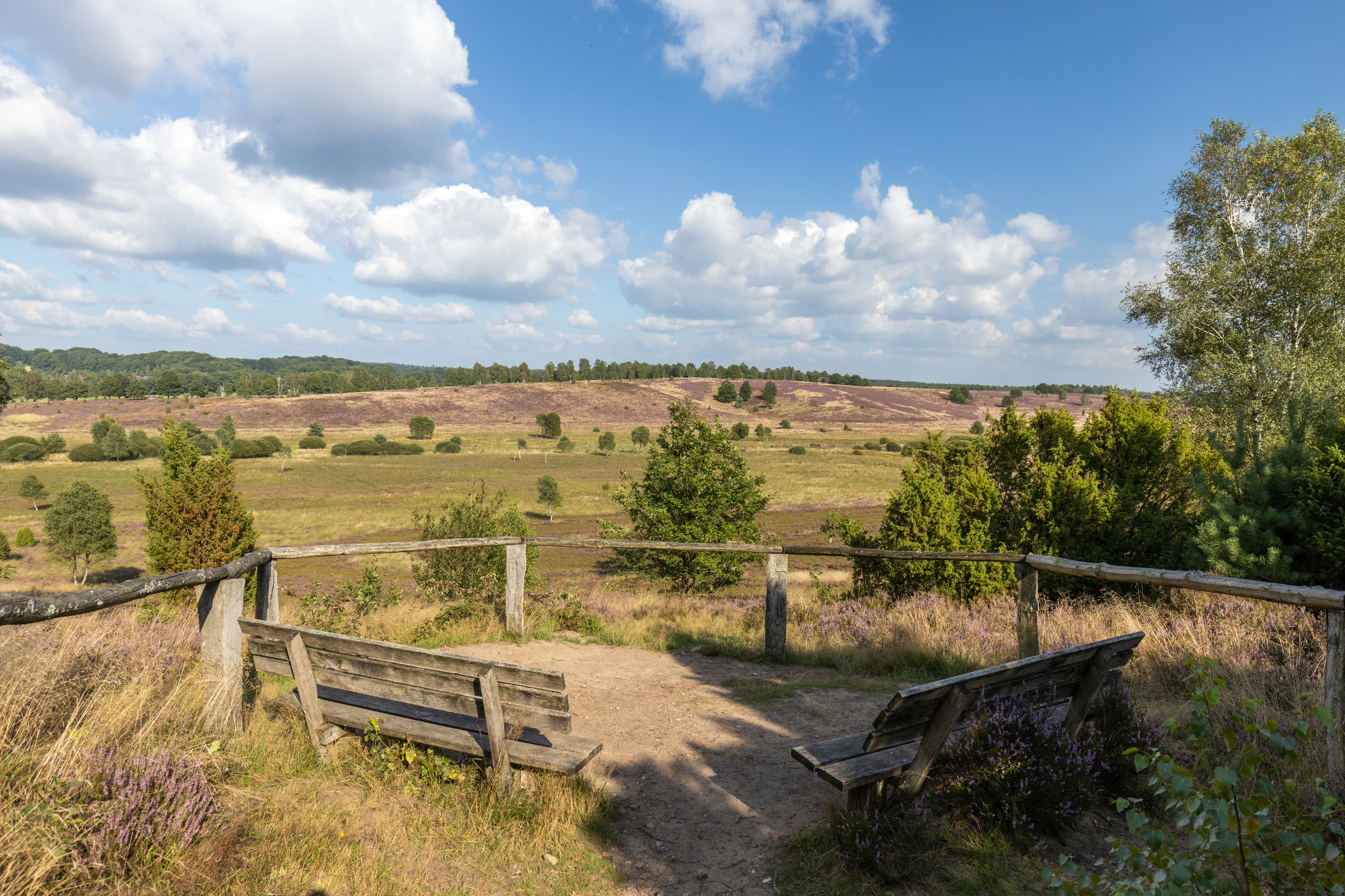 Der WümmebergThe WümmebergWümmebergDe Wümmeberg