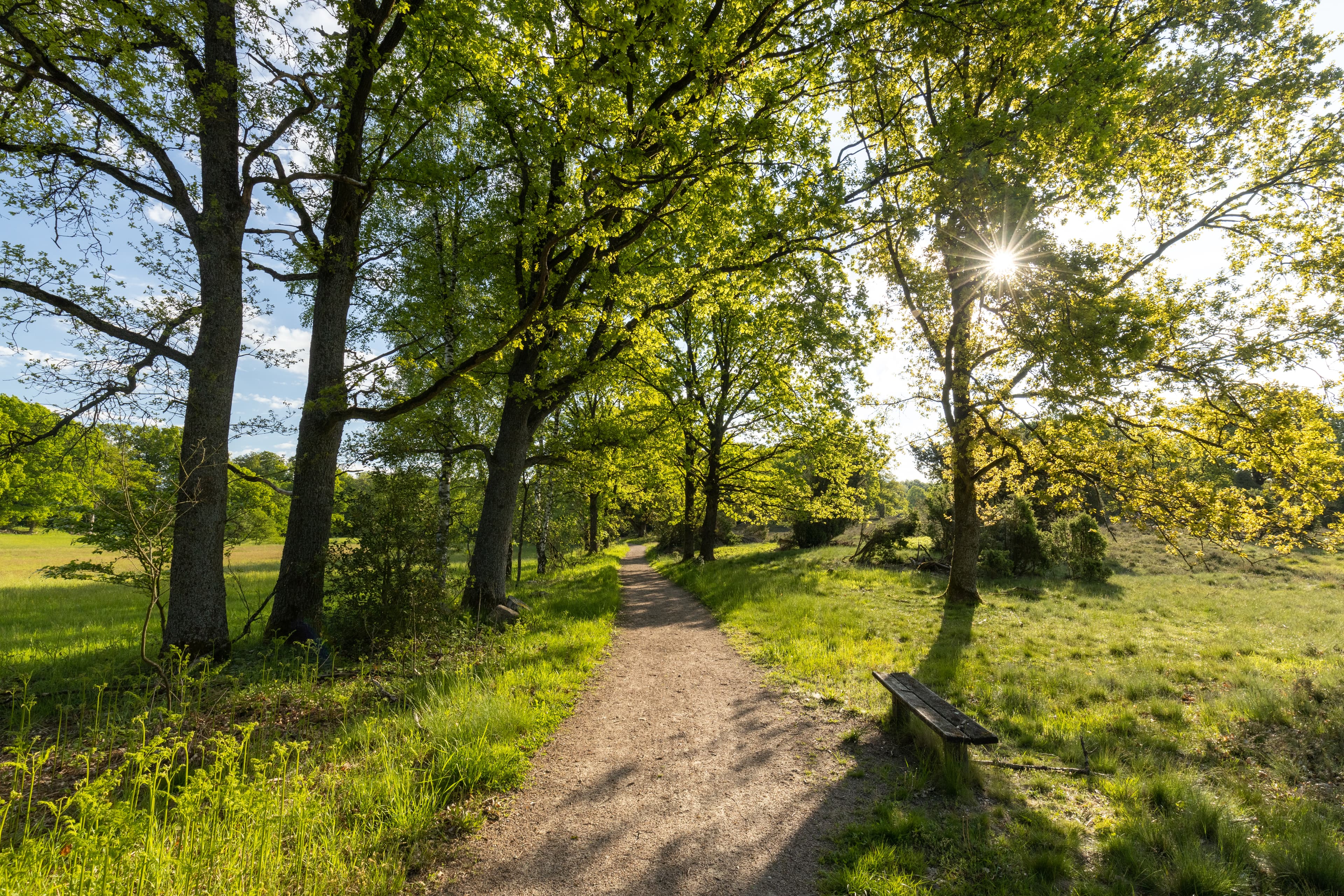 Wandern auf der Heideschleife HaverbeekeHiking on the Haverbeeke heathland loopVandring på Haverbeeke hedesløjfeWandelen op de Haverbeeke heidelus