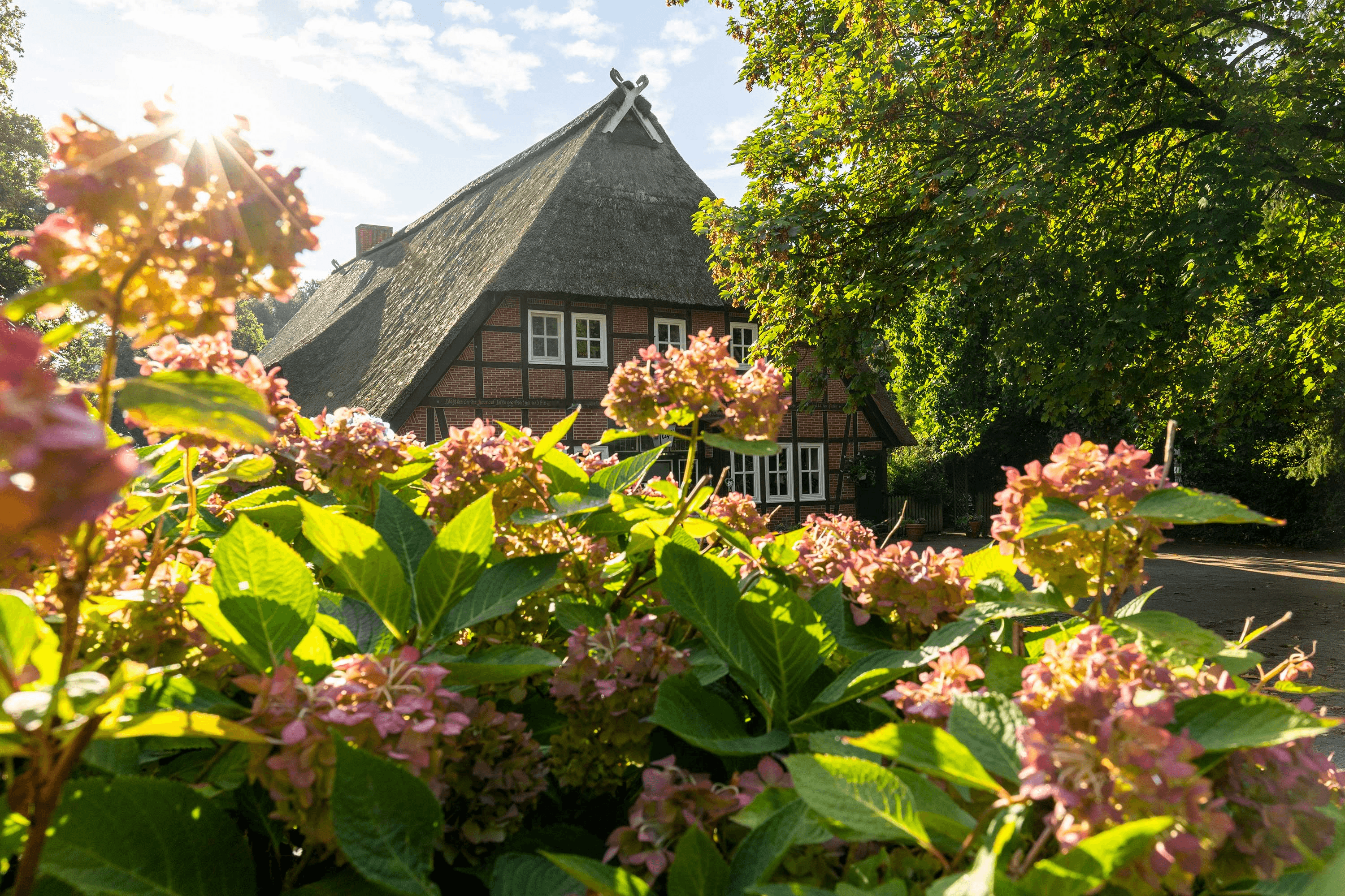 toller familienurlaub in den familienhotels der lüneburger heide