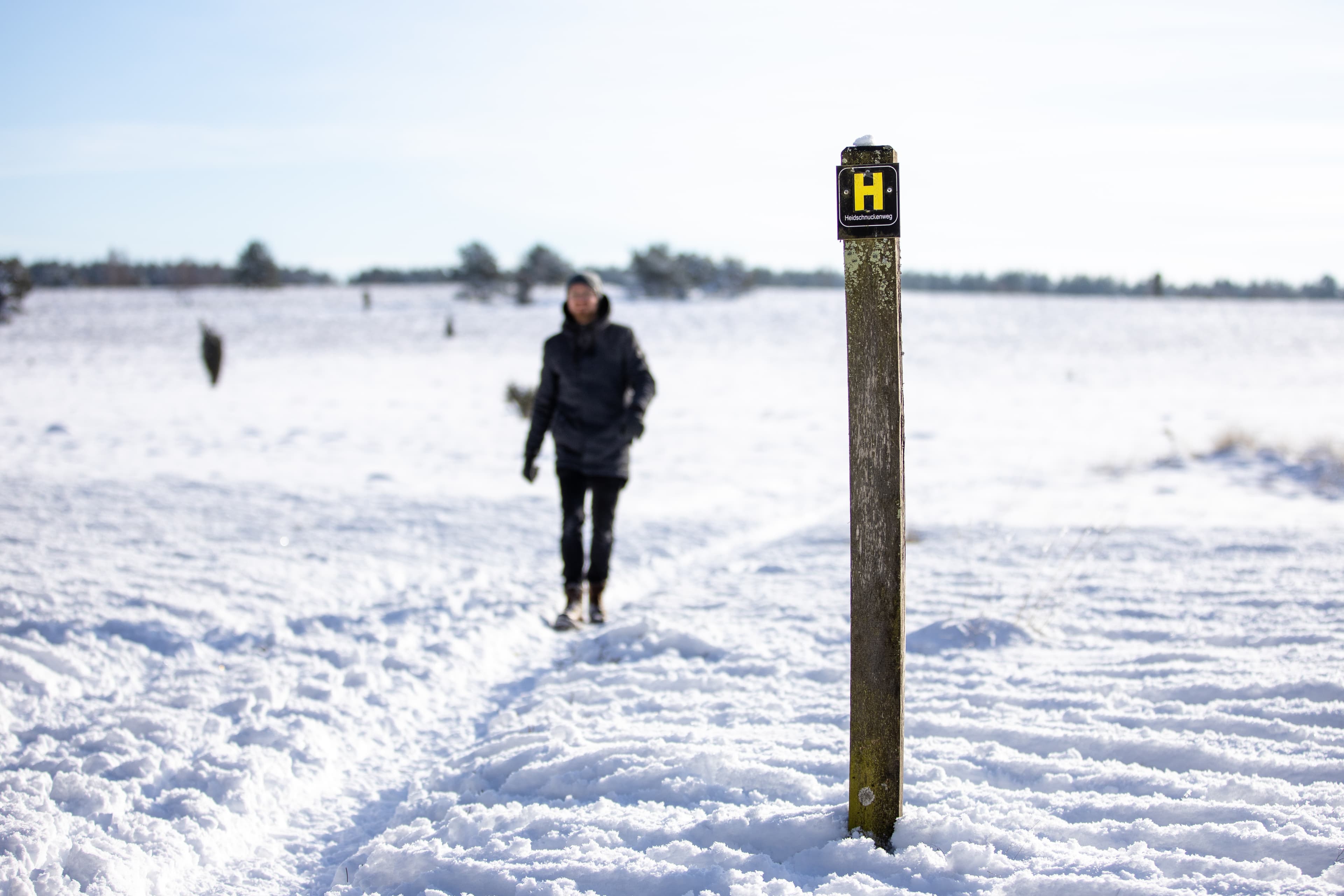 Winterwandern auf dem Heidschnuckenweg im Schnee in der Oberoher Heide