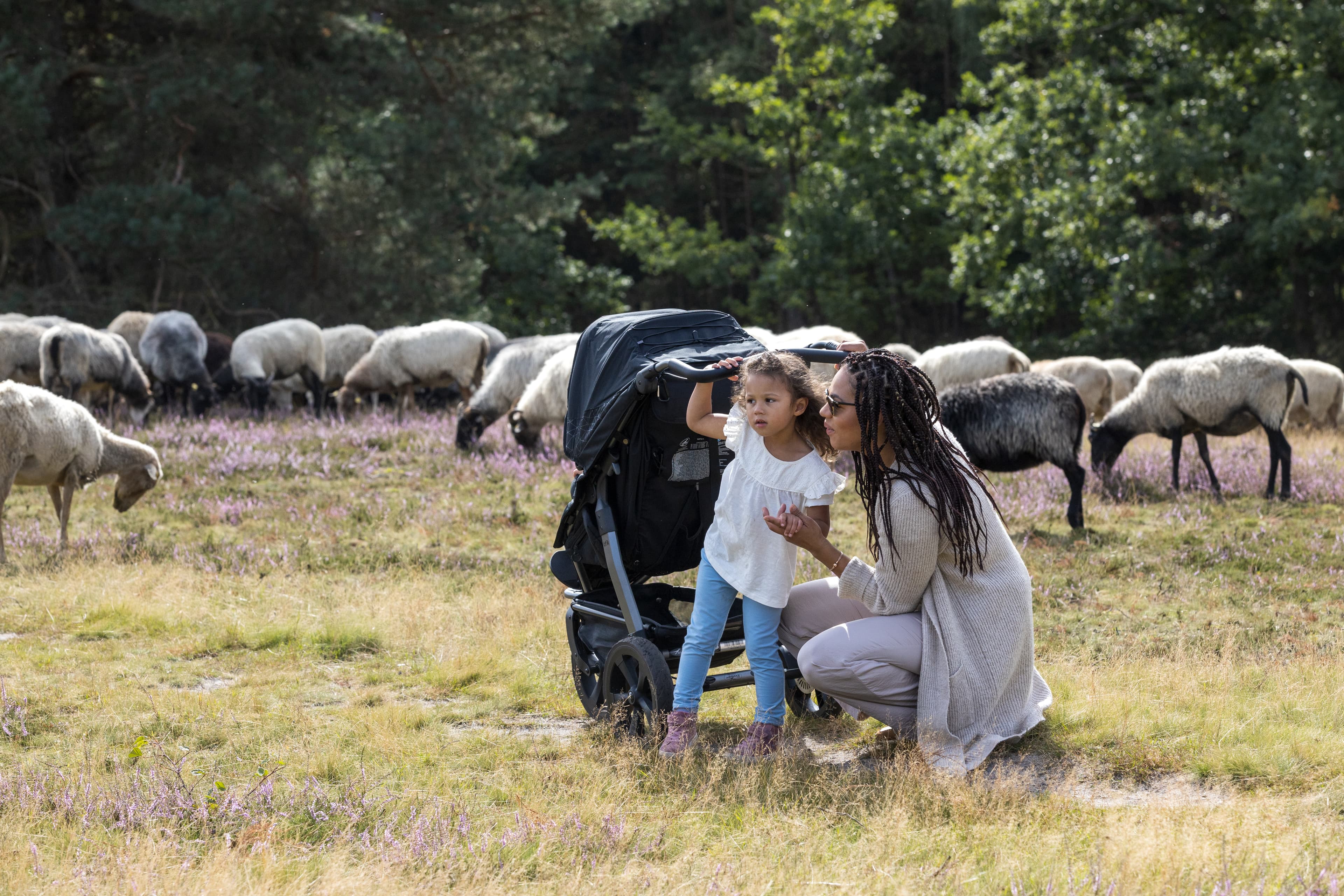 Familie Kinder Kinderwagen Heideblüte