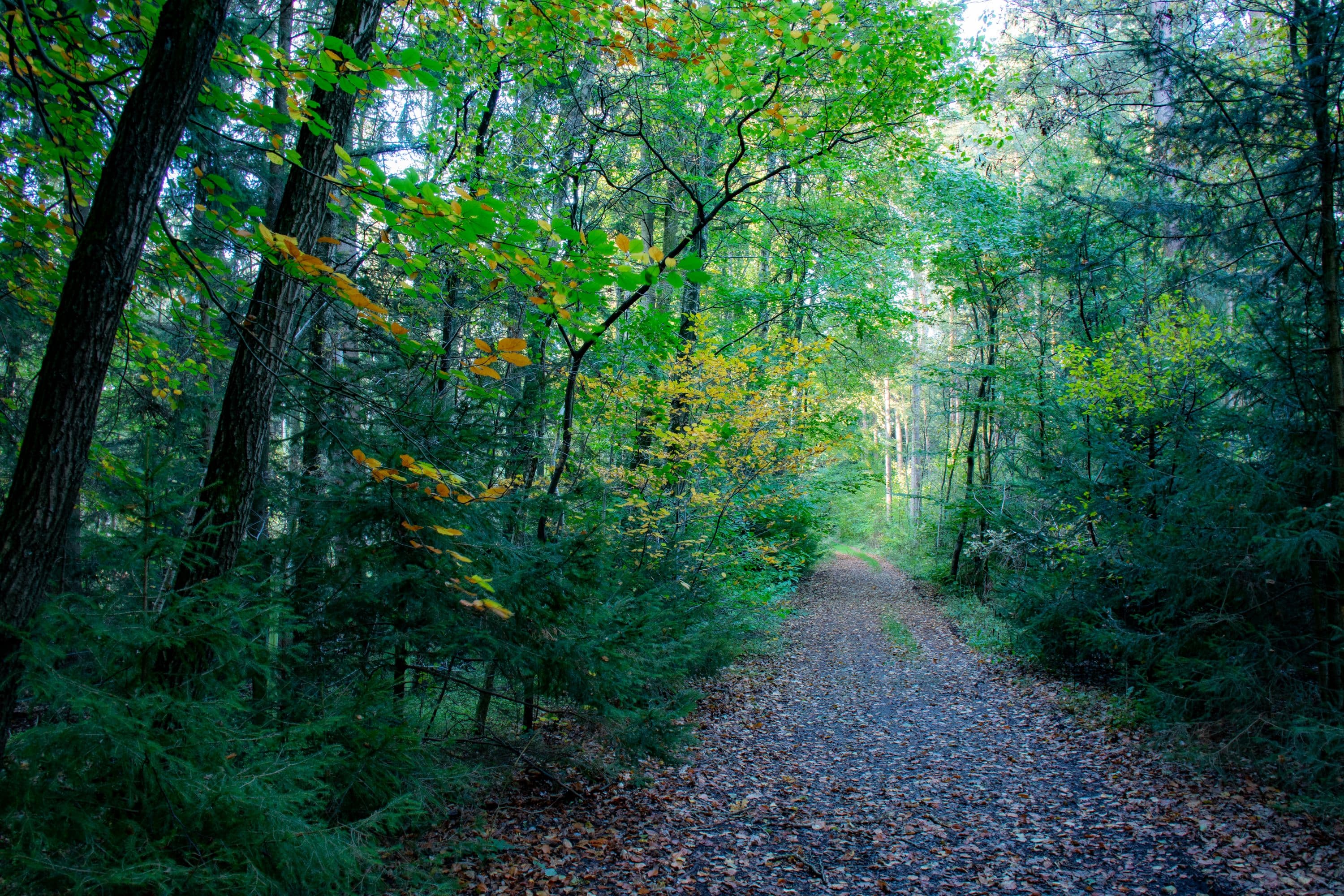 Im Himmelreich W23 Kurze Wandertour im Herbst