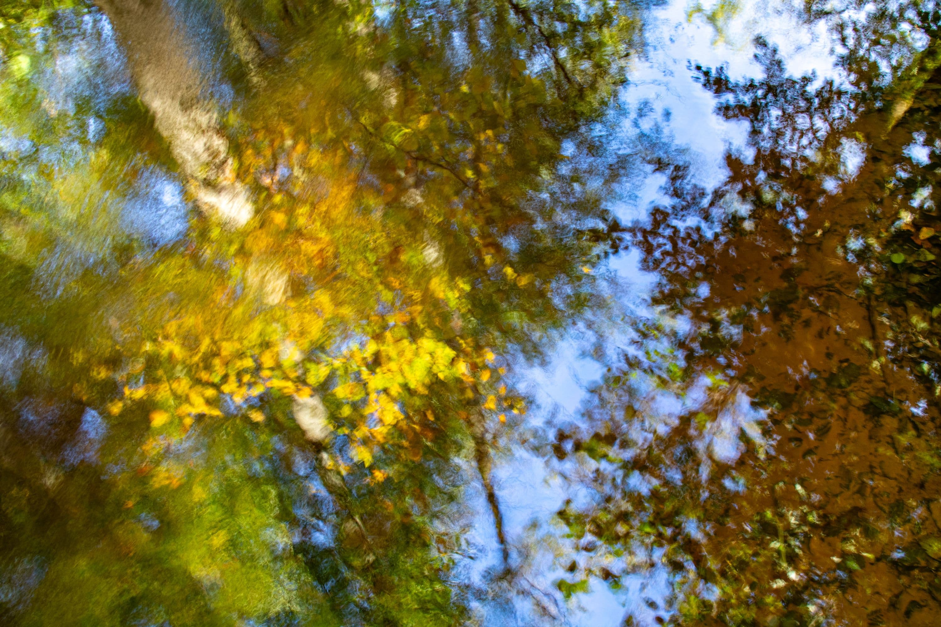 Herbstspaziergang im Himmelreich bei Jarnsen auf dem Wanderweg W23