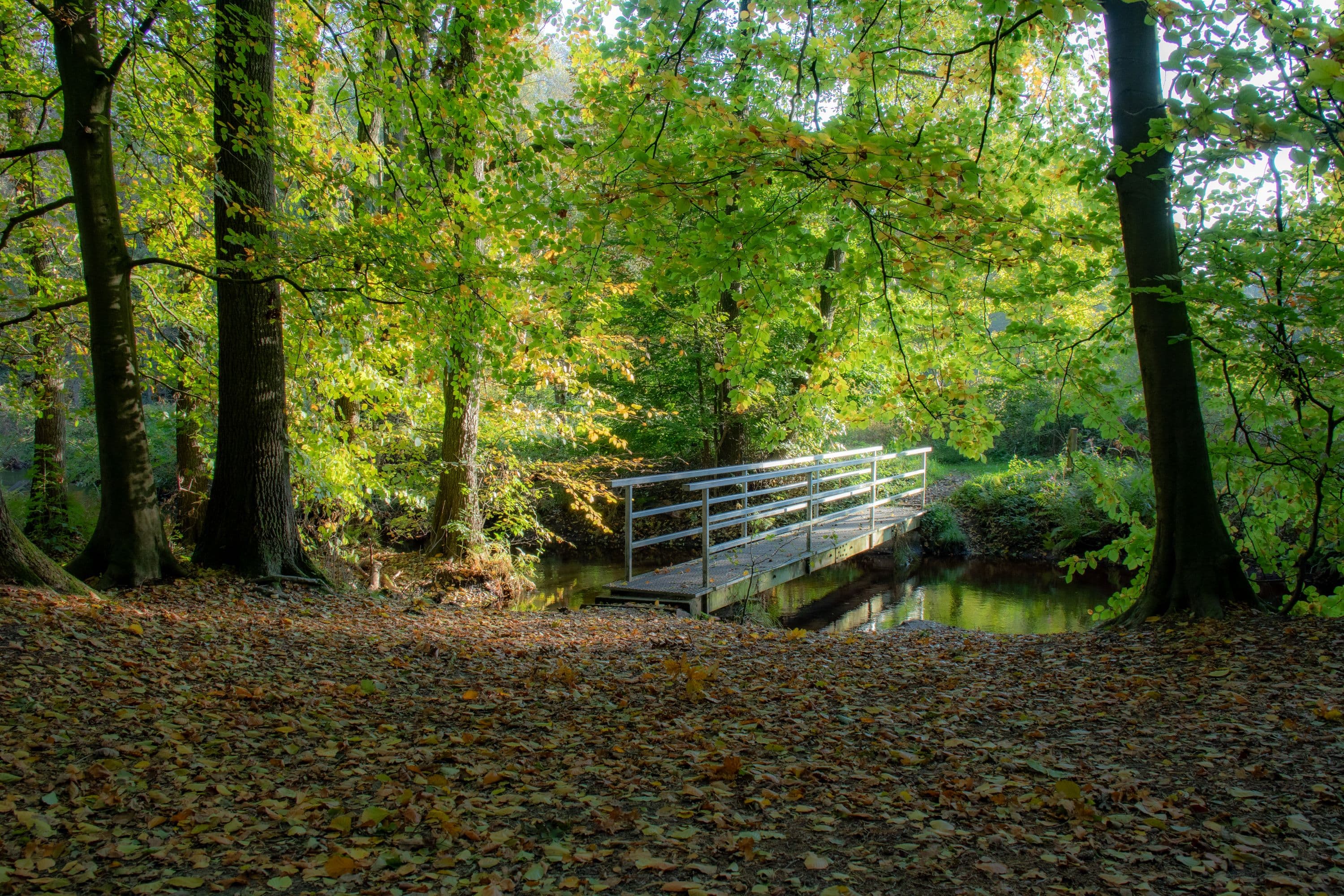 Kurze Wanderung W23 im Herbst in Jarnsen in der Südheide