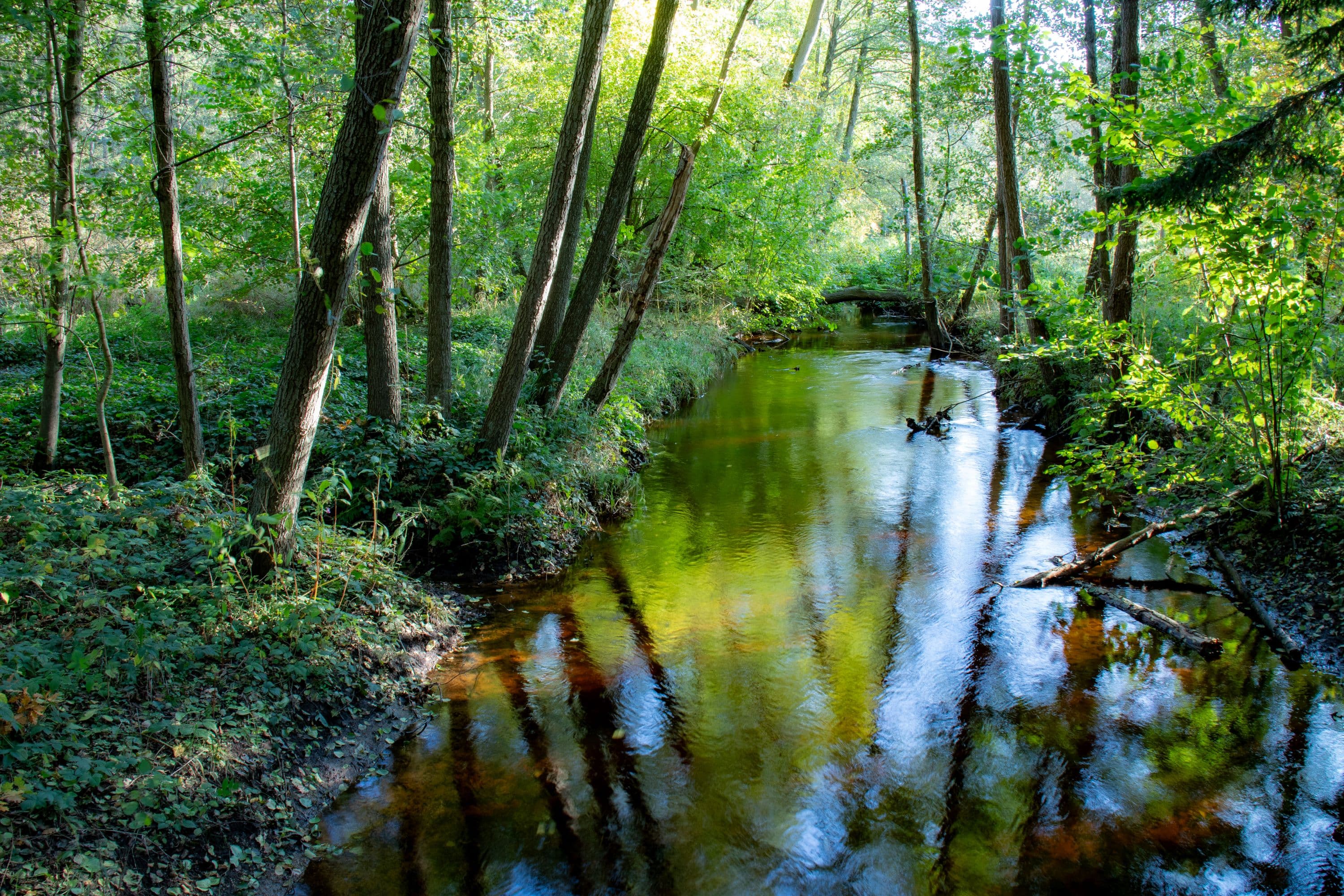 Wanderung W23 Im Himmelreich im Herbst