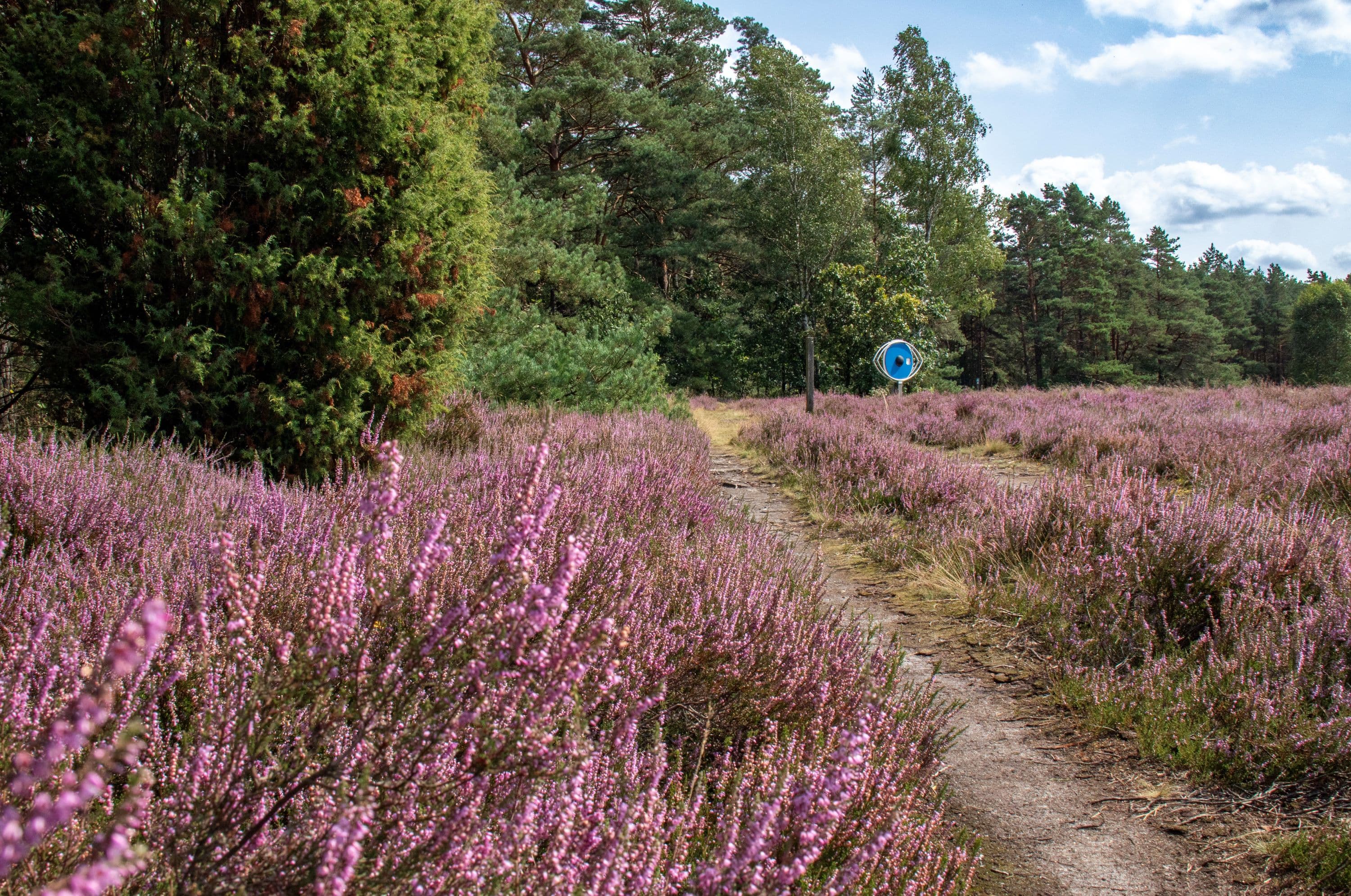 Wandern am Schillohsberg