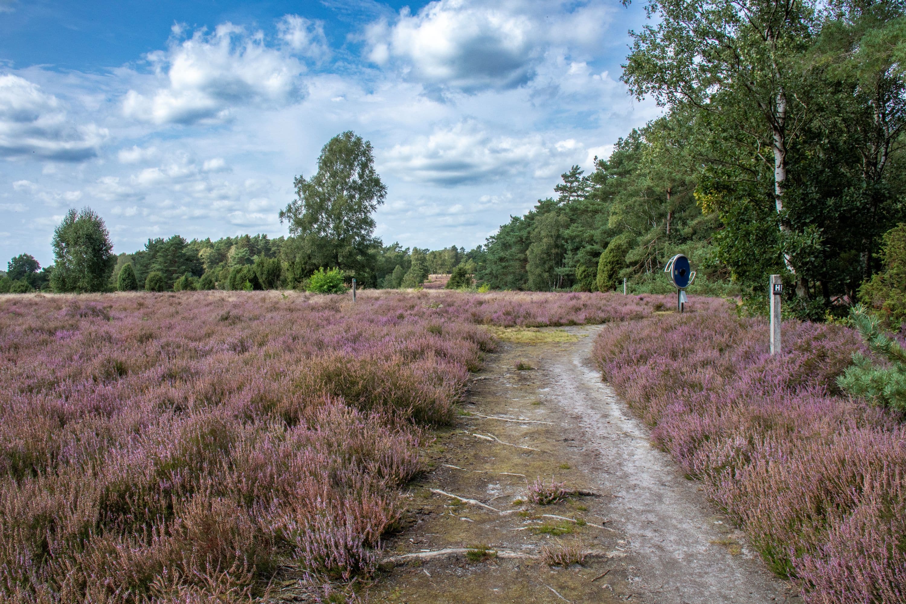 Wanderung am Schillohsberg