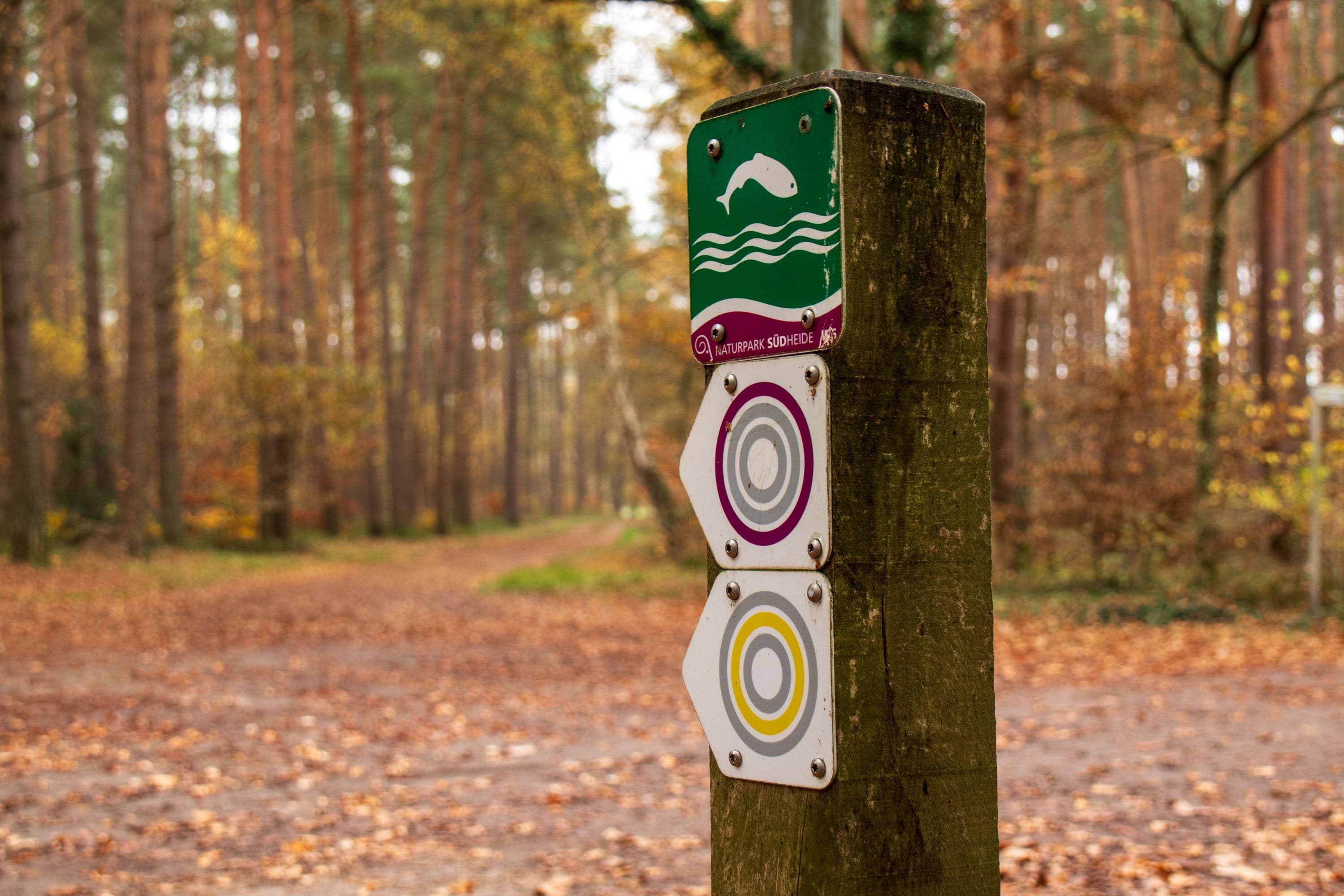 Wegweiser Herbstliche Wanderungen W6