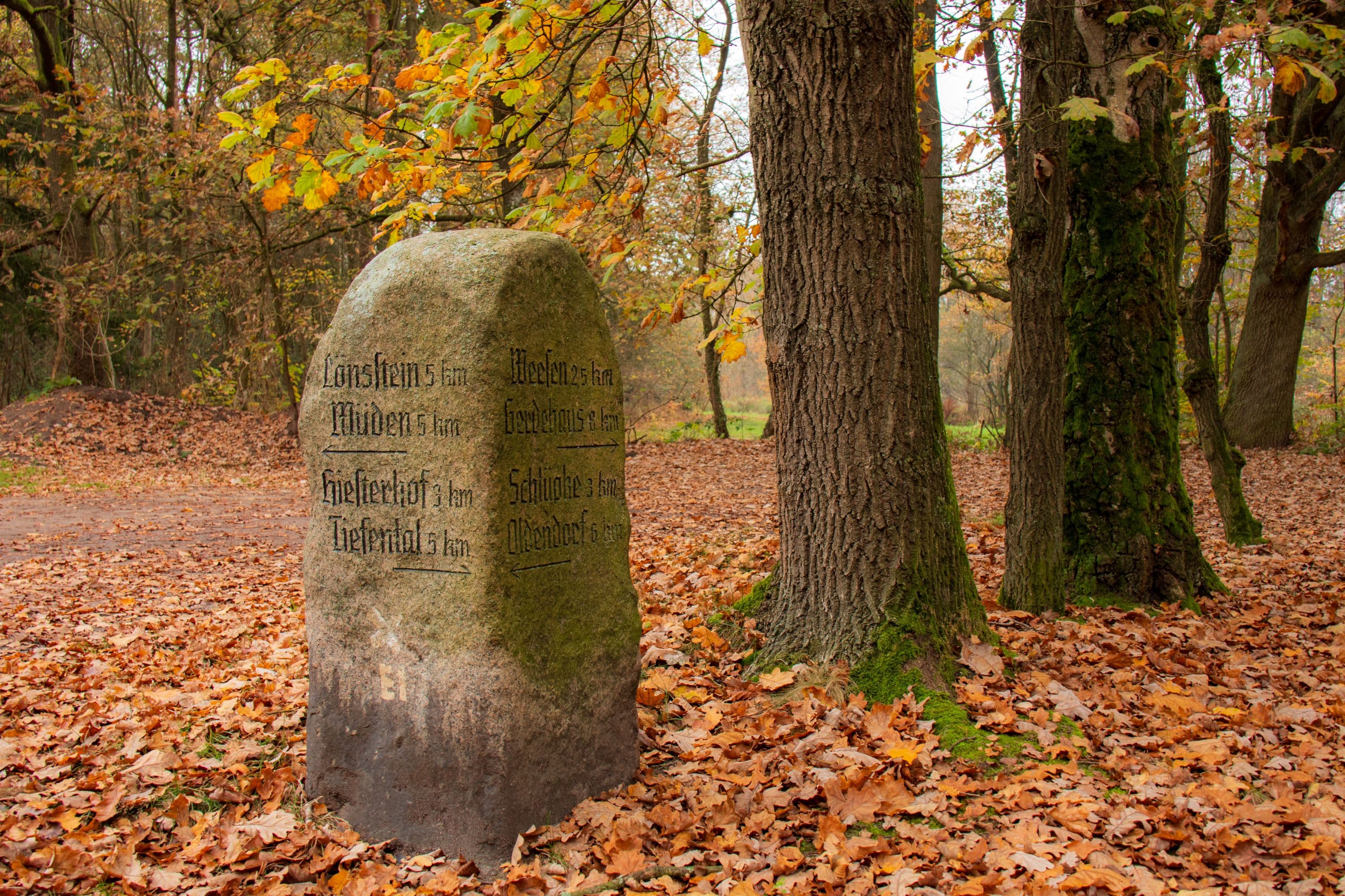 Im Herbst auf der Wanderung "In einem Bächlein helle"