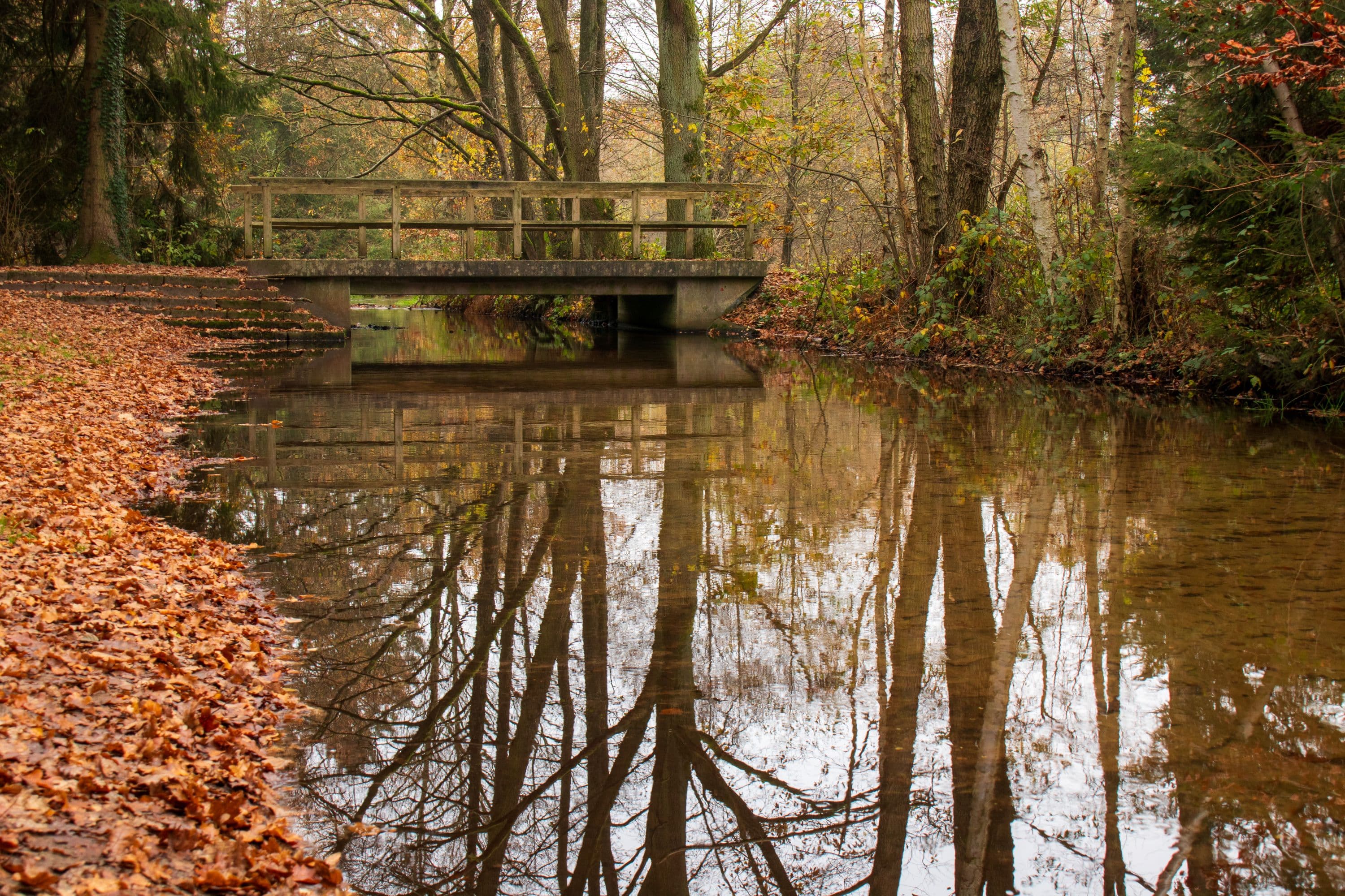 Herbststimmung am Weesener Bach bei Hermannsburg