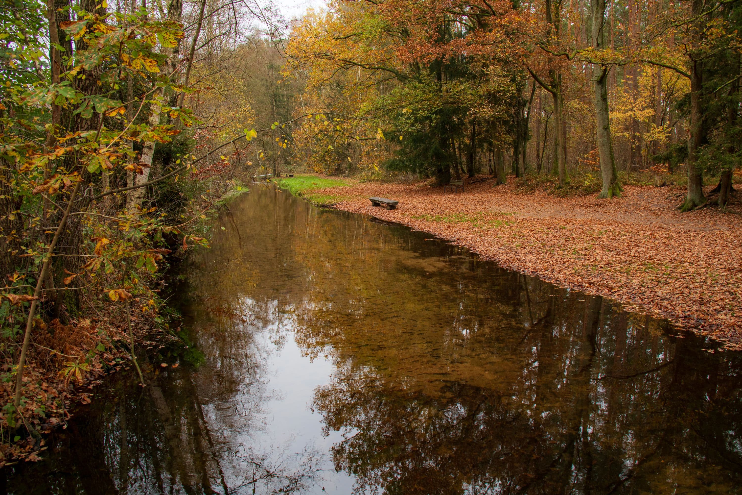 Herbstliche Wanderung "In einem Bächlein helle"