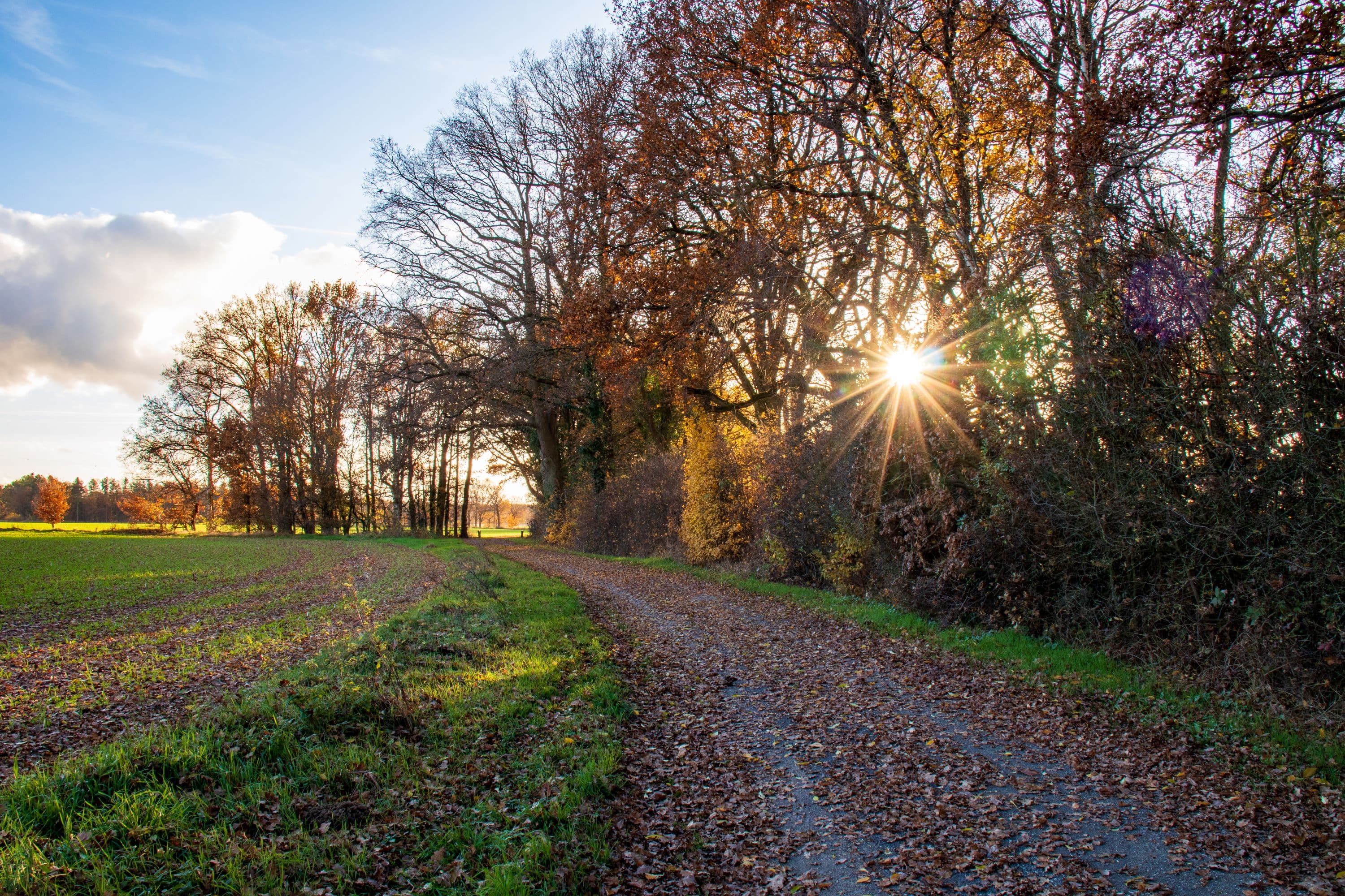 Stimmungsvolle Wanderung entlang des Weges