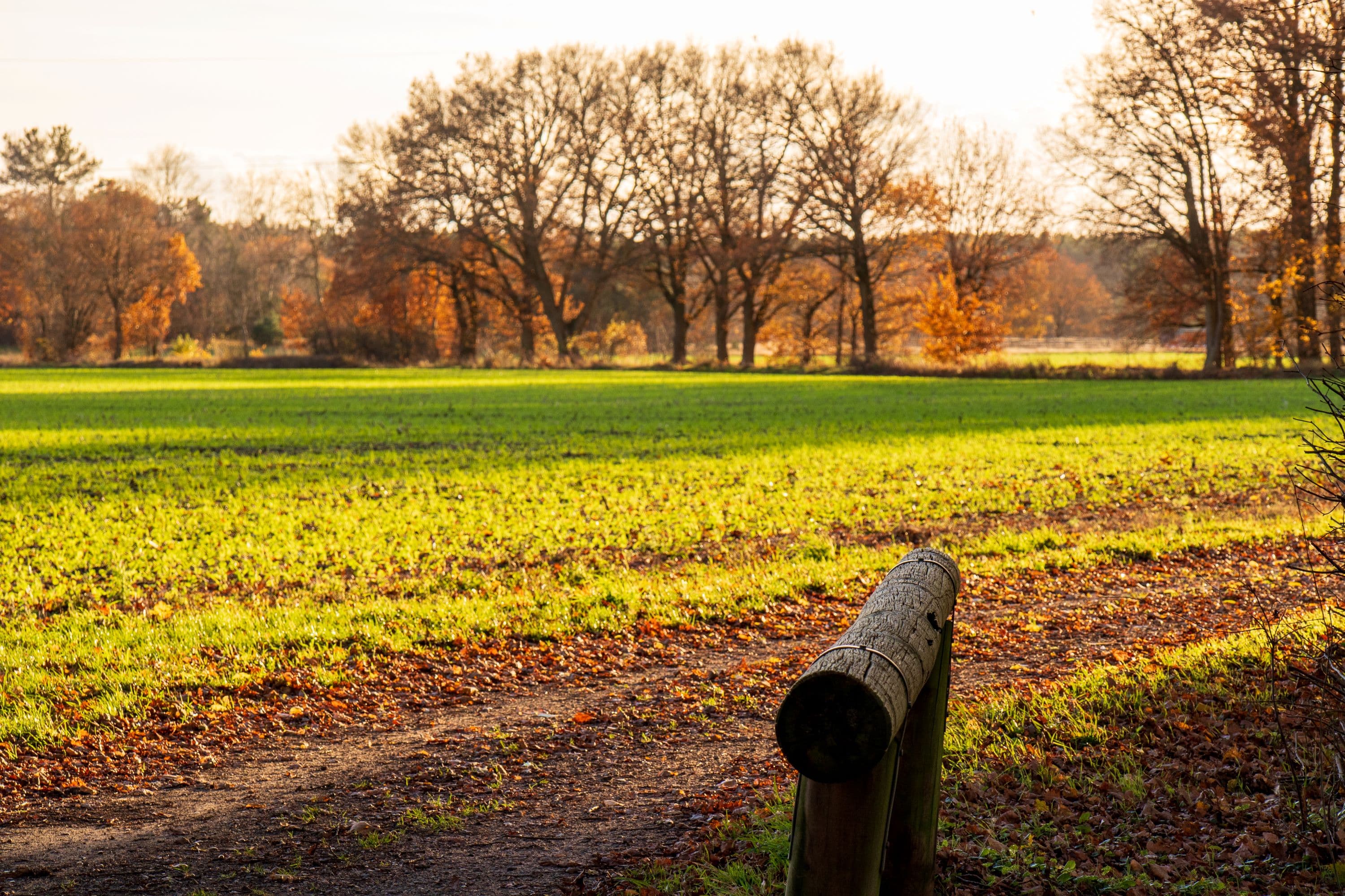 Im Herbst entlang der Hornbosteler Hutweide