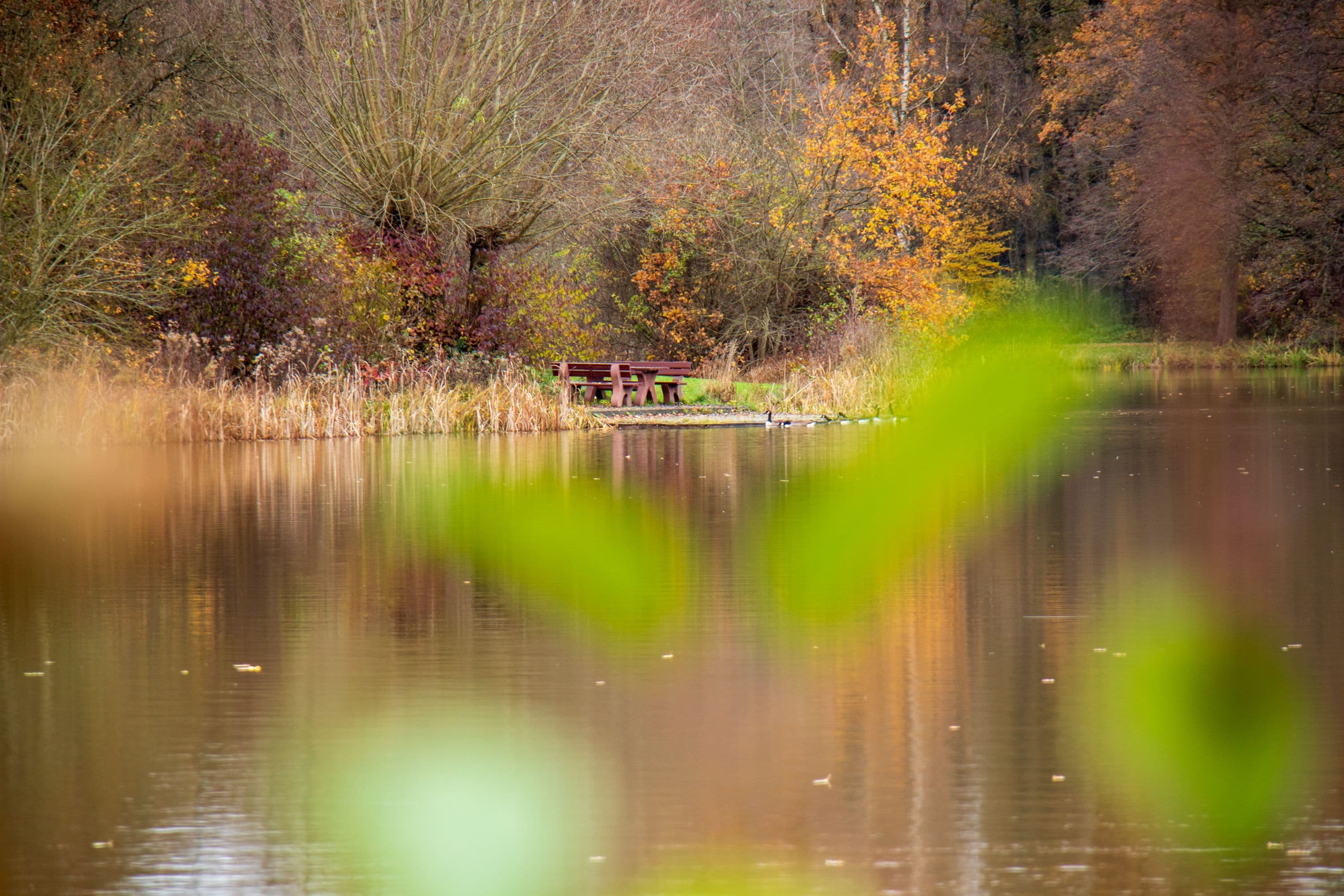 Herbstspaziergang am Heidesee in Müden (Örtze)
