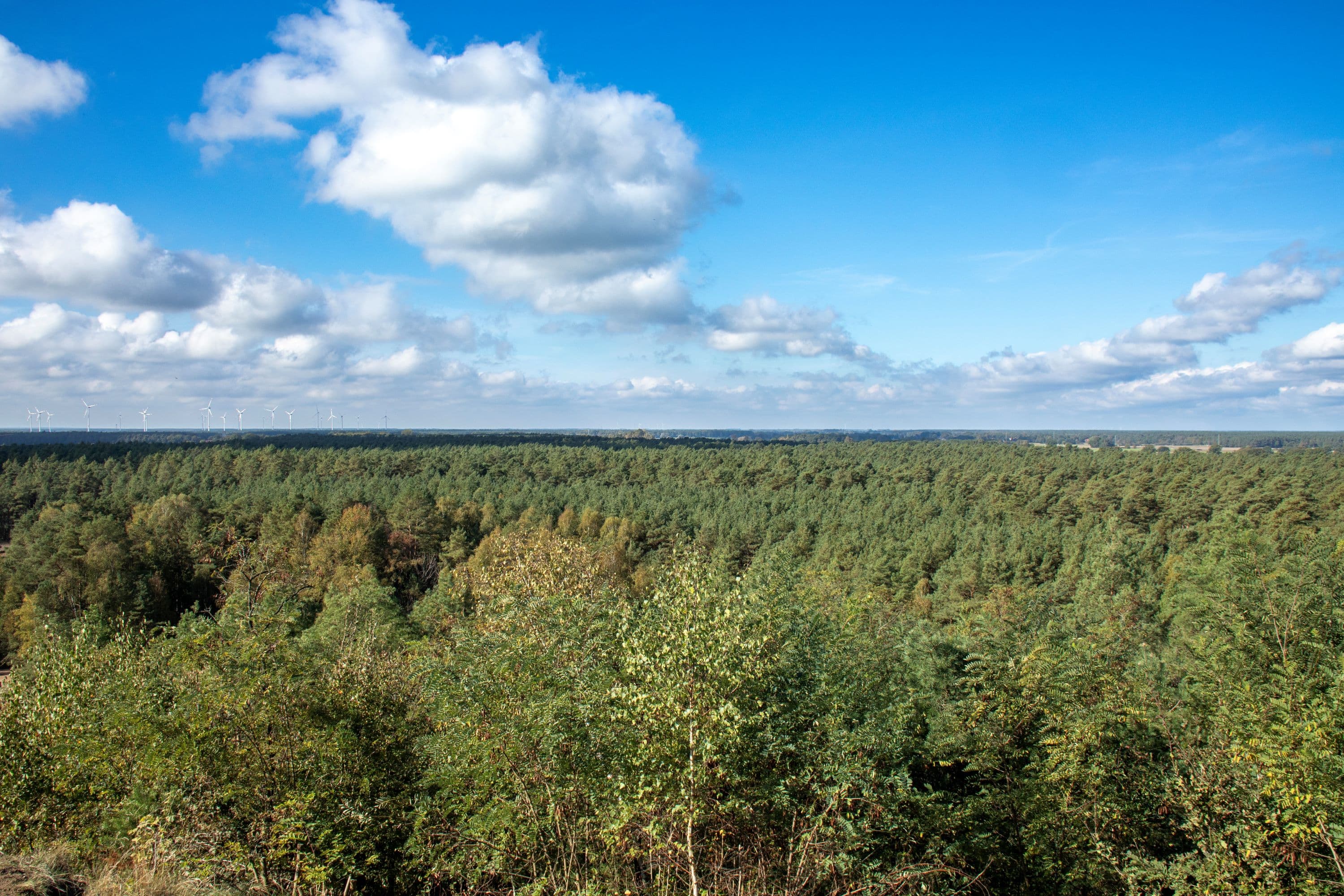 Ausblick vom Wietzer Ölberg