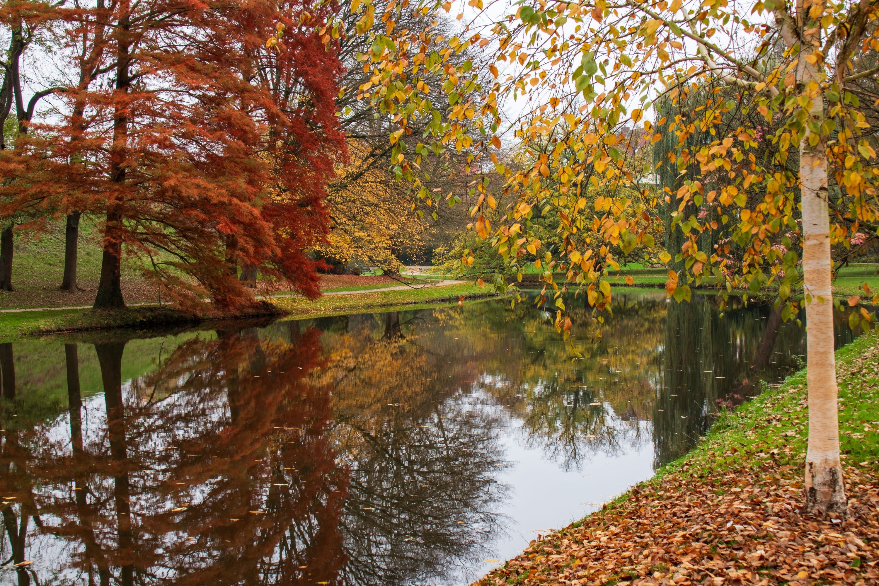 Herbstfarben im Schlosspark Celle