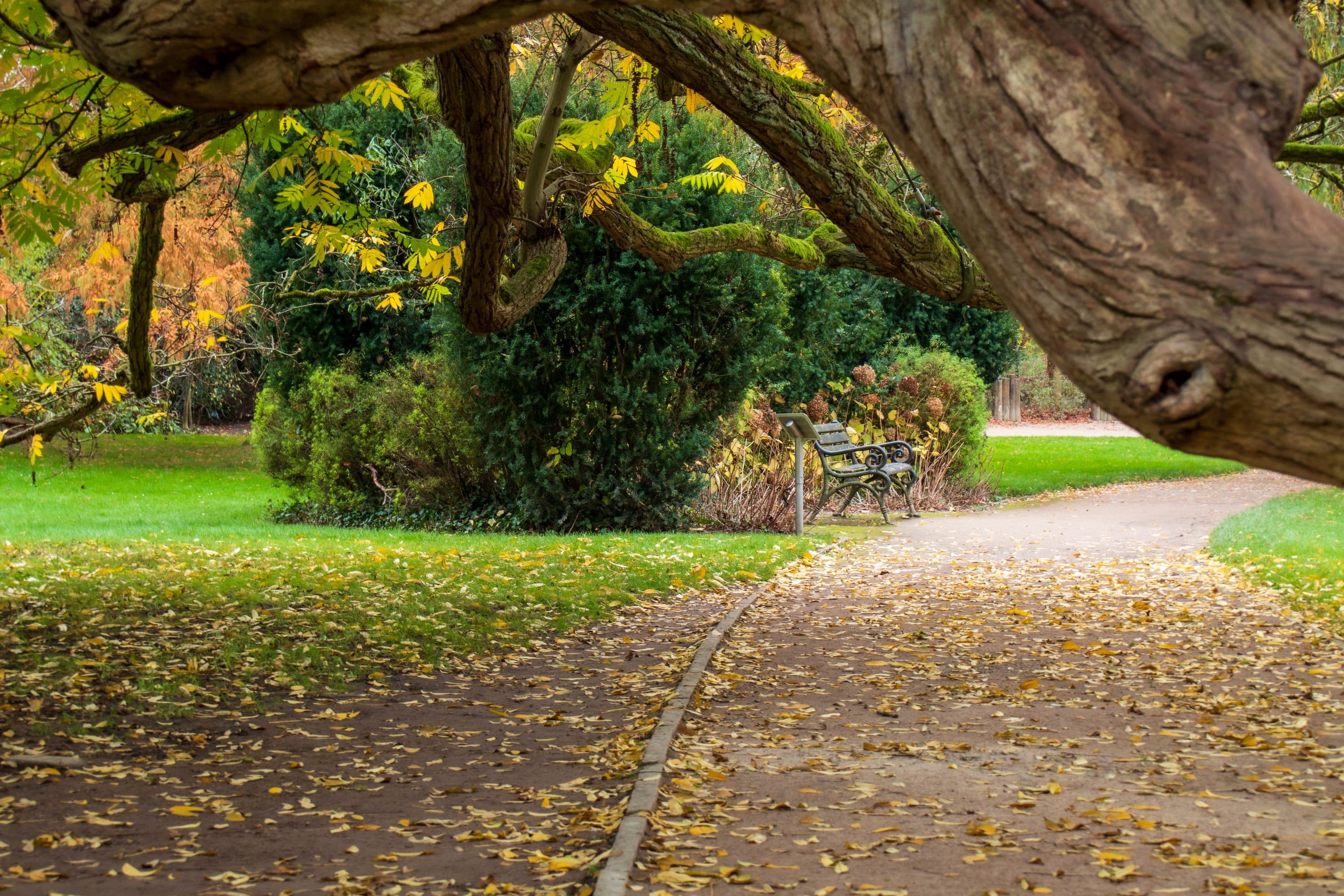 Idyllischer Celler Schlosspark im Herbst