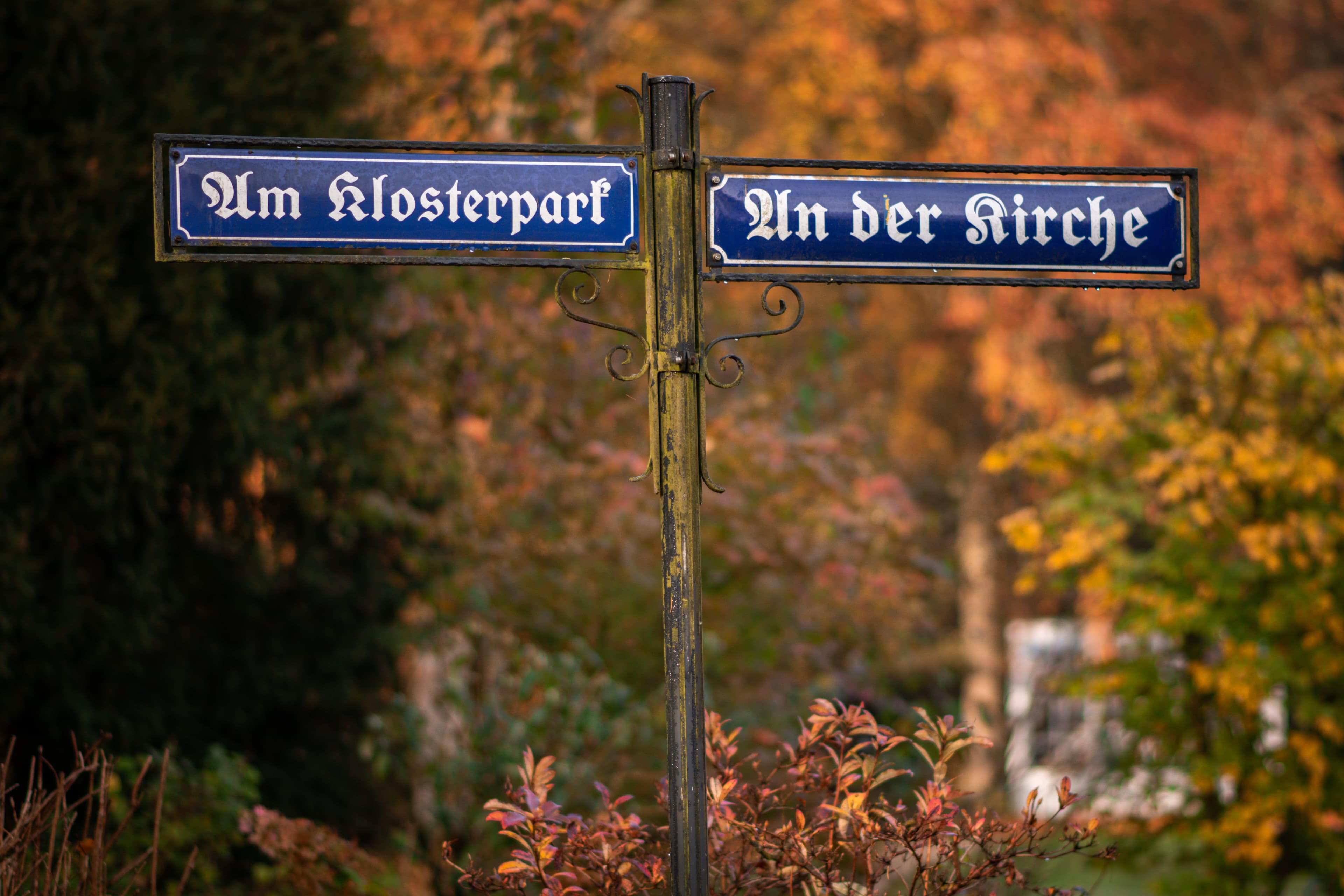 Klosterpark Wienhausen Herbst