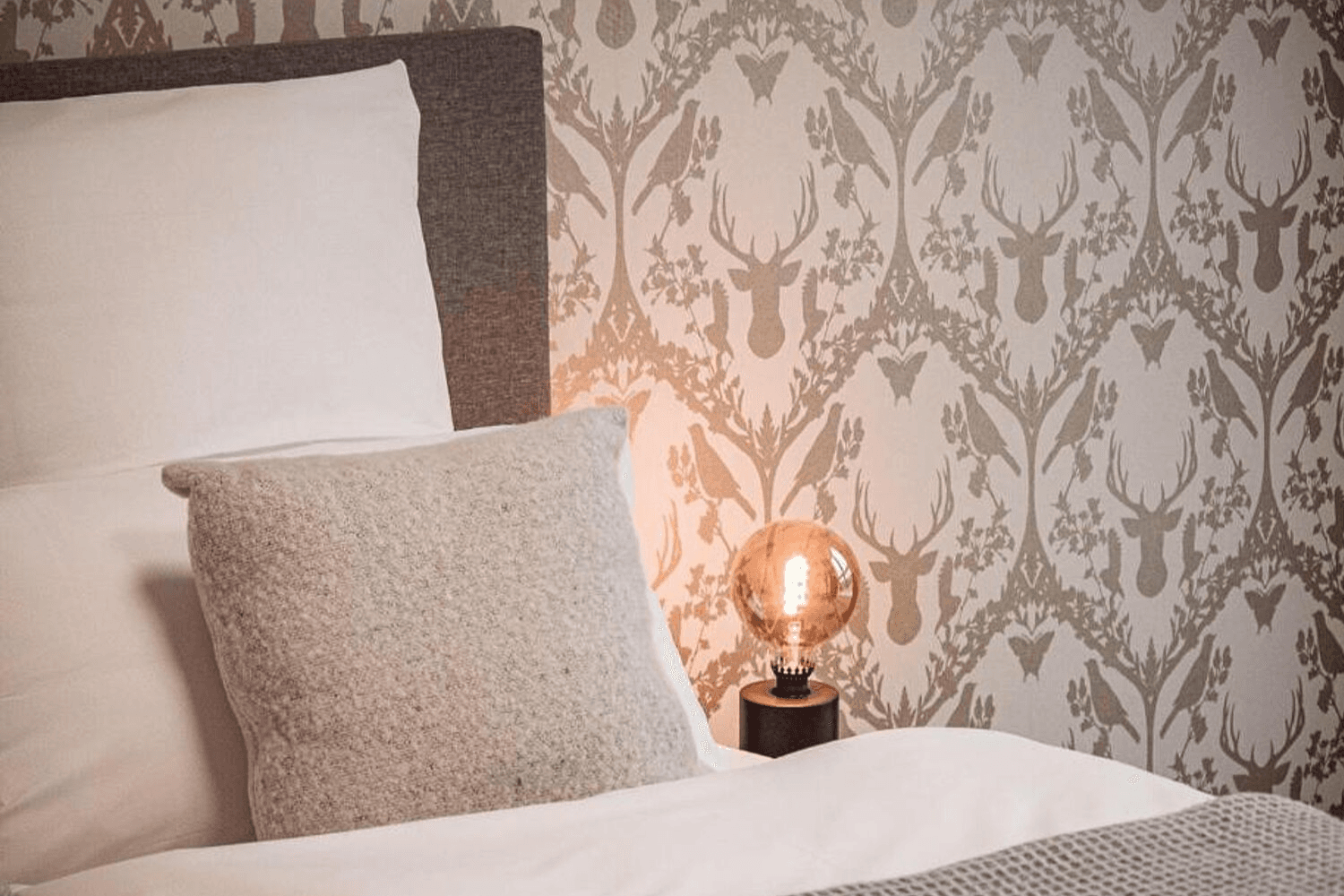 schöne zimmer im hotel alpine in bispingen