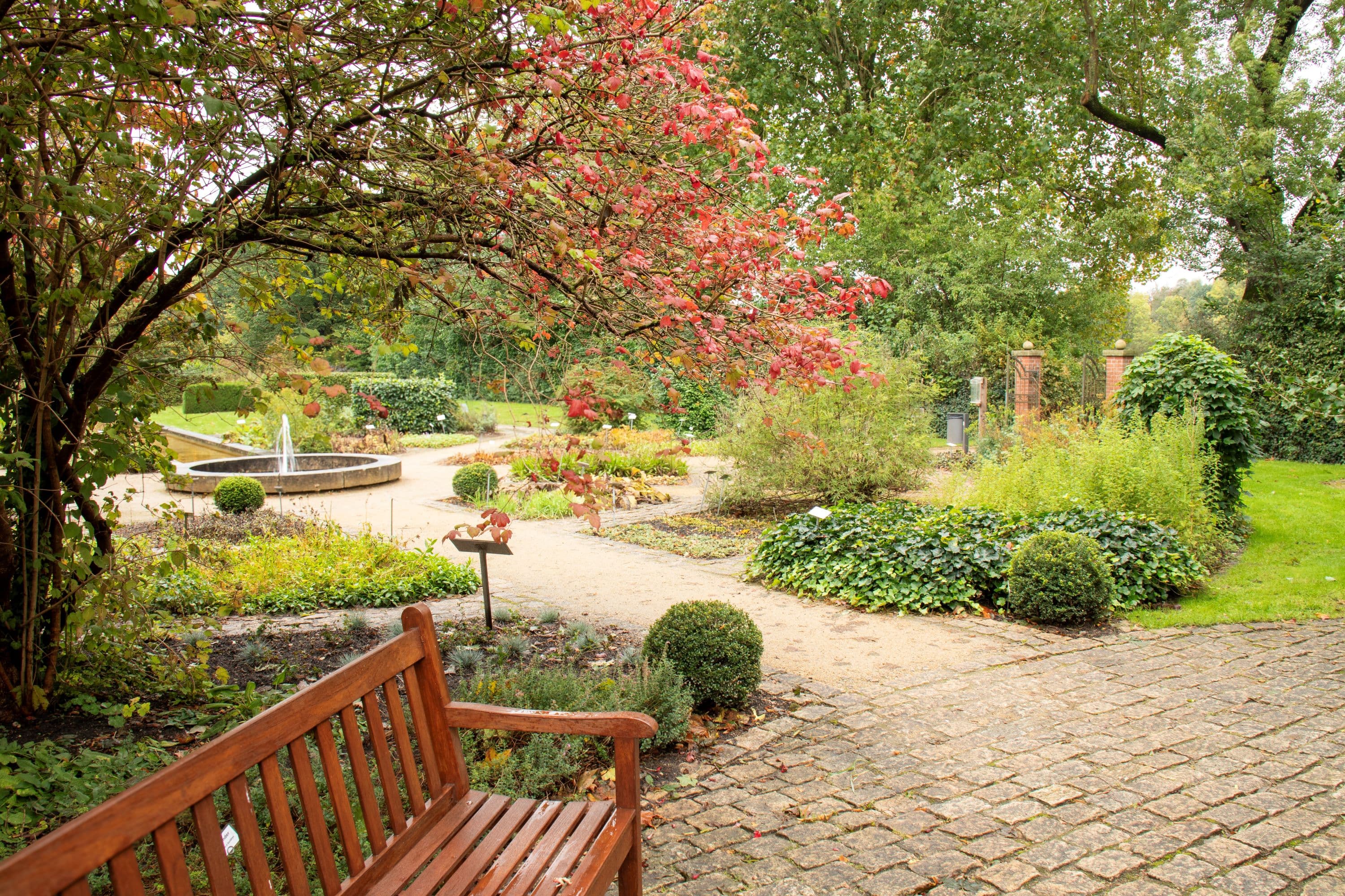 Heilpflanzengarten in Celle im Herbst