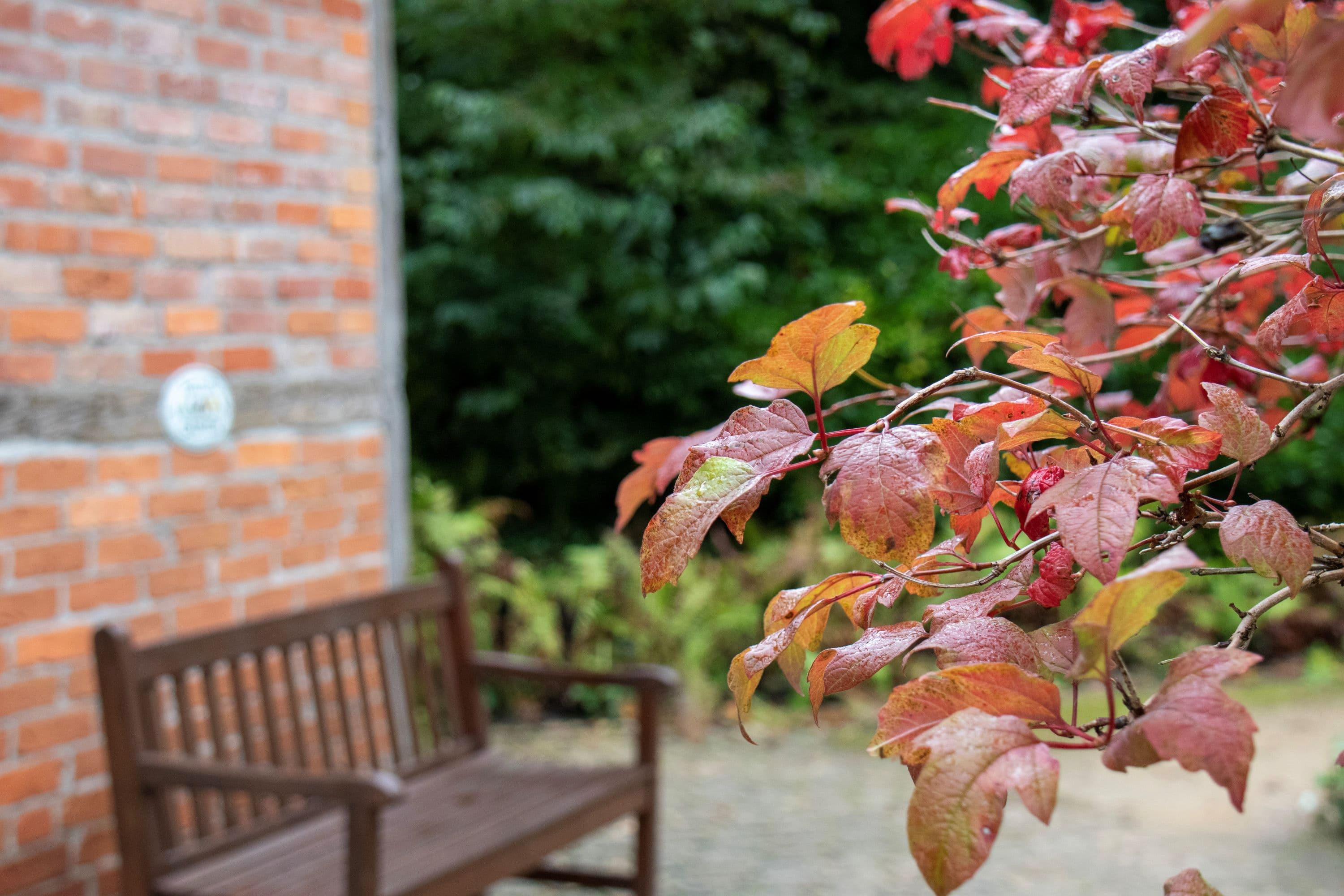 Herbstliche Stimmung im Heilpflanzengarten in Celle geniessen