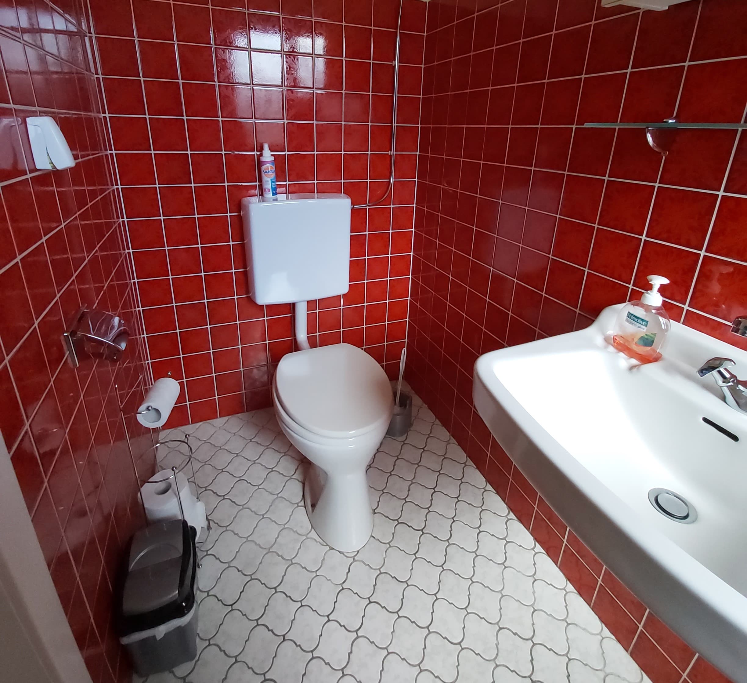 Ferienhaus Birkhuhn Gäste WC