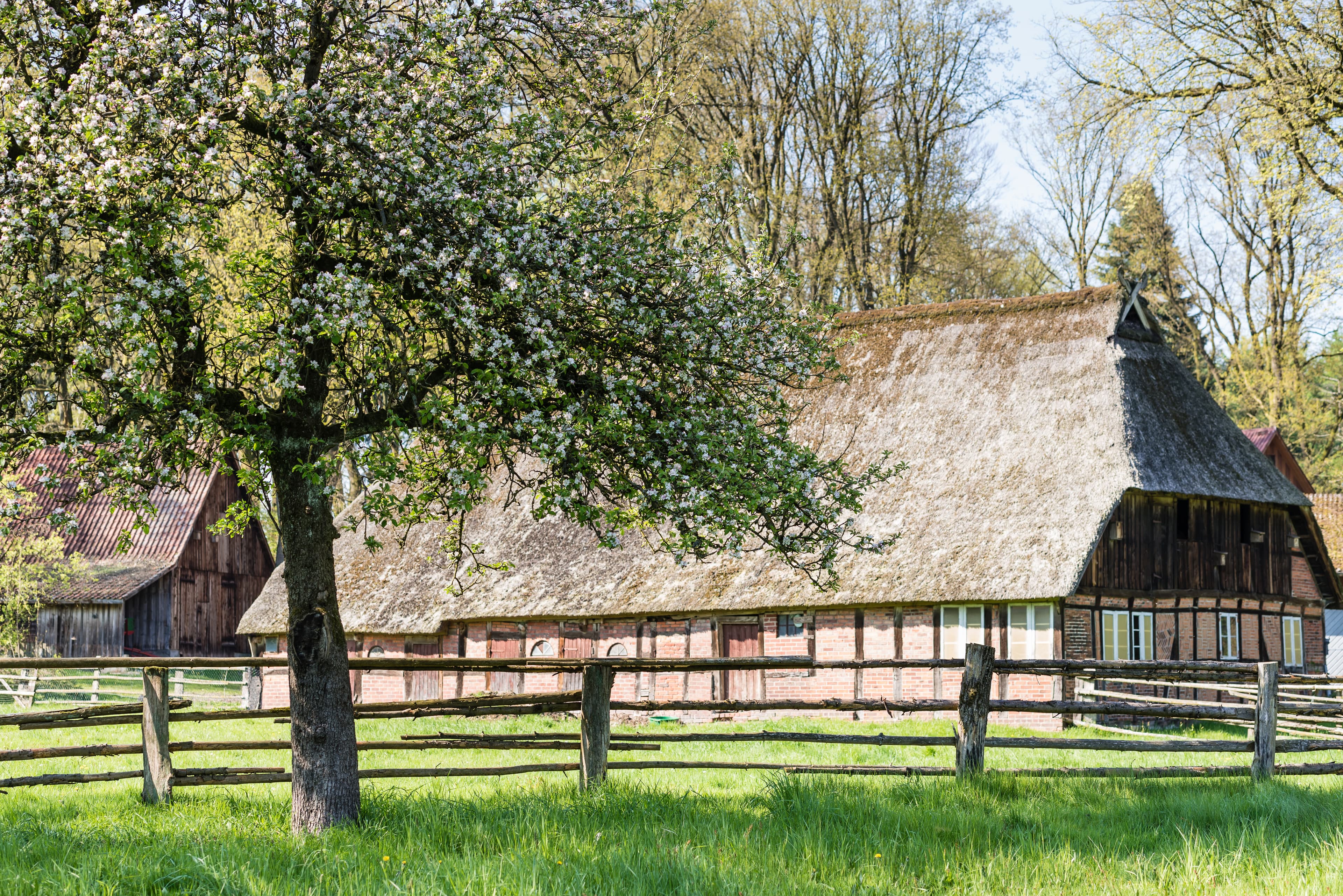 Undeloh ist ein romantischer Ort mit vielen Fachwerkhäusern